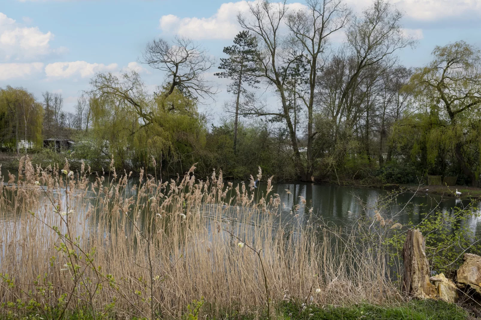 La Rive du Lac - Gebieden zomer 1km
