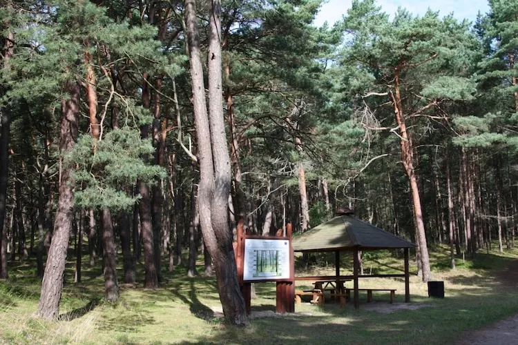 Sosenka - Gebieden zomer 1km