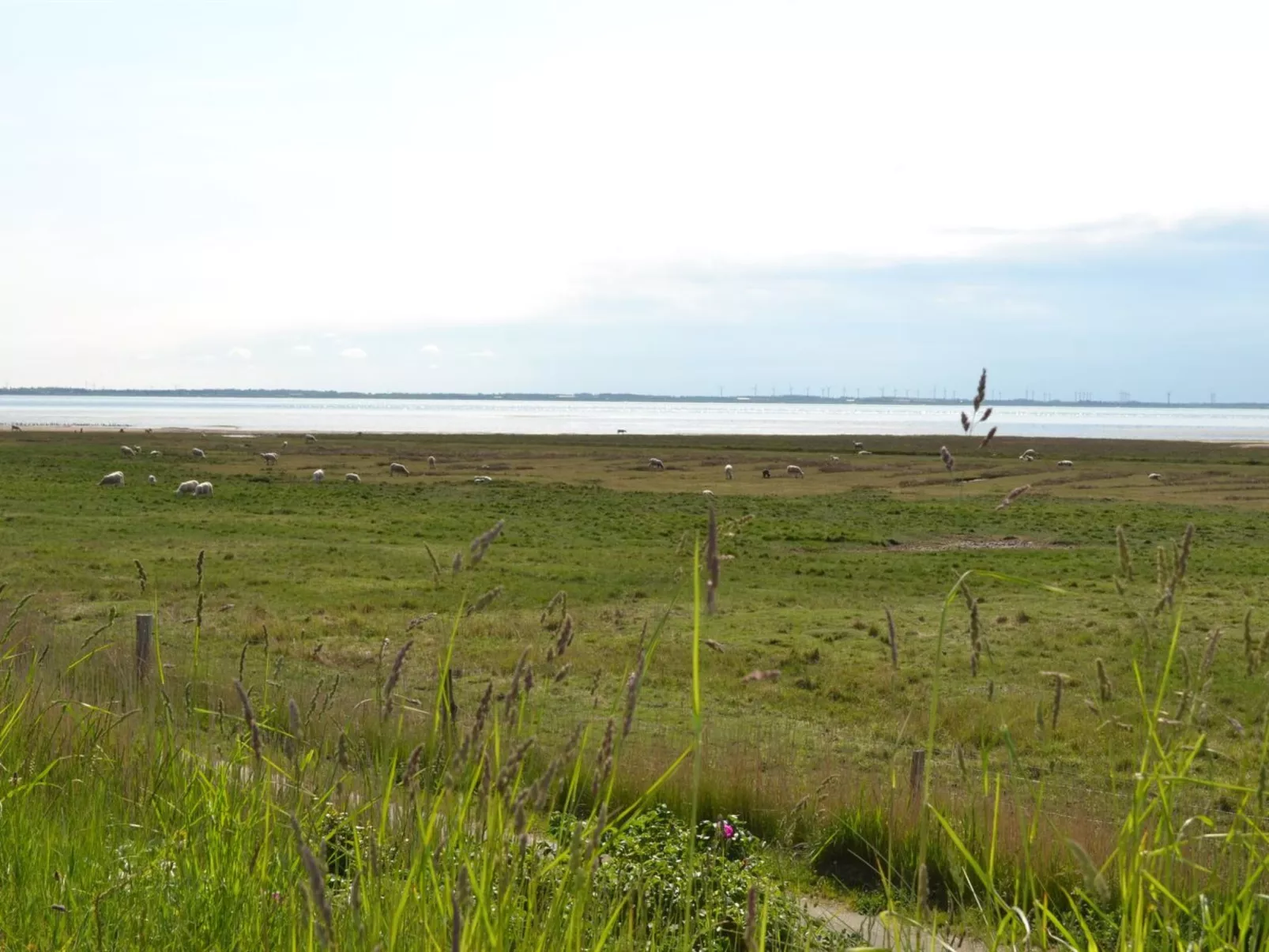 "Gertruda" - 2.3km from the sea - Buiten