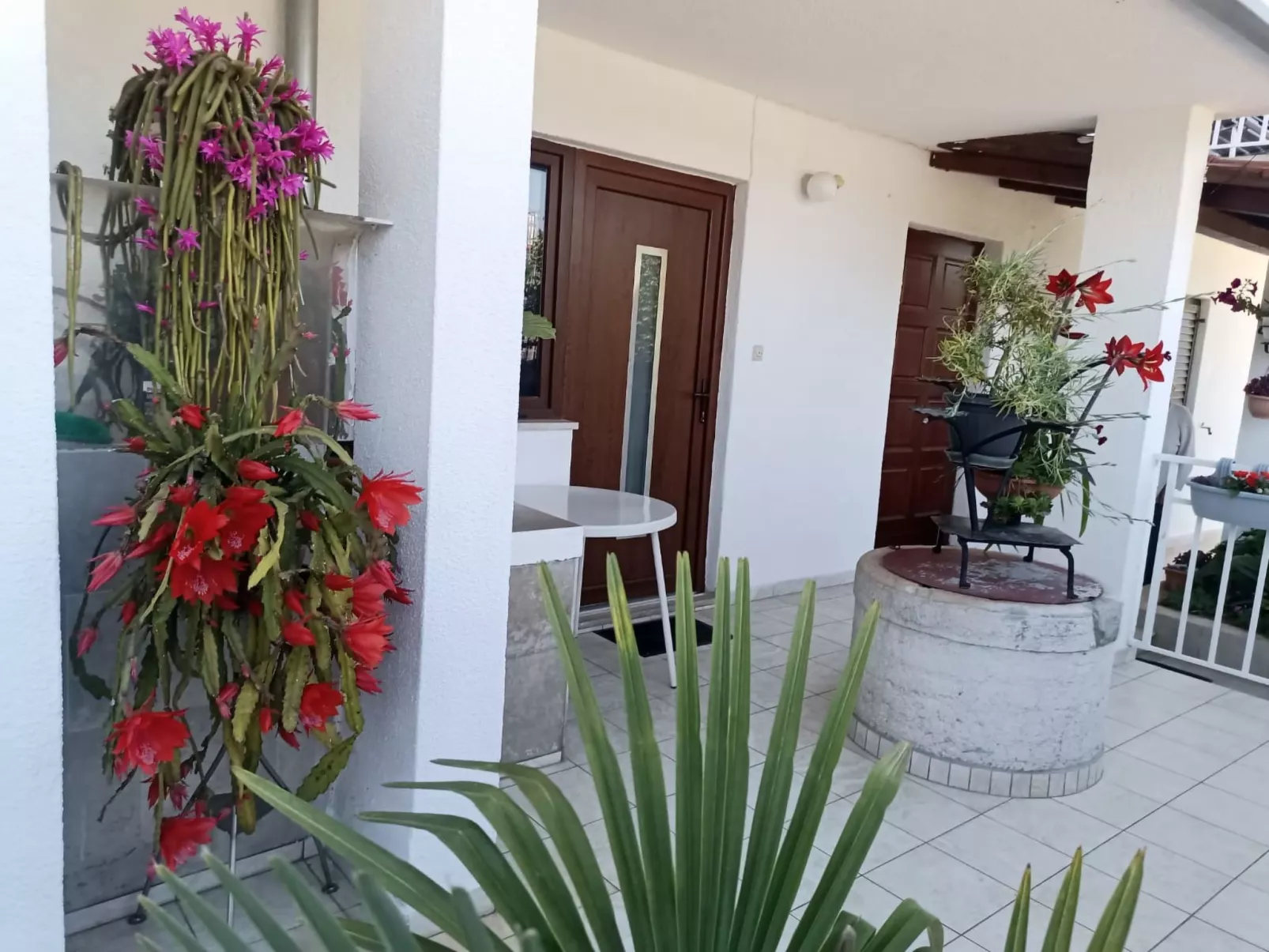 Apartment 2366 - Buiten