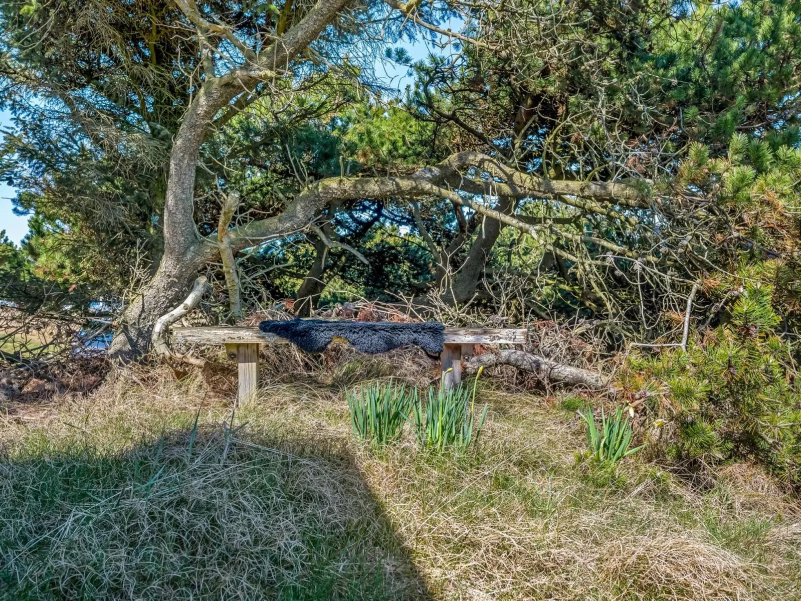 "Aiden" - 650m from the sea - Buiten