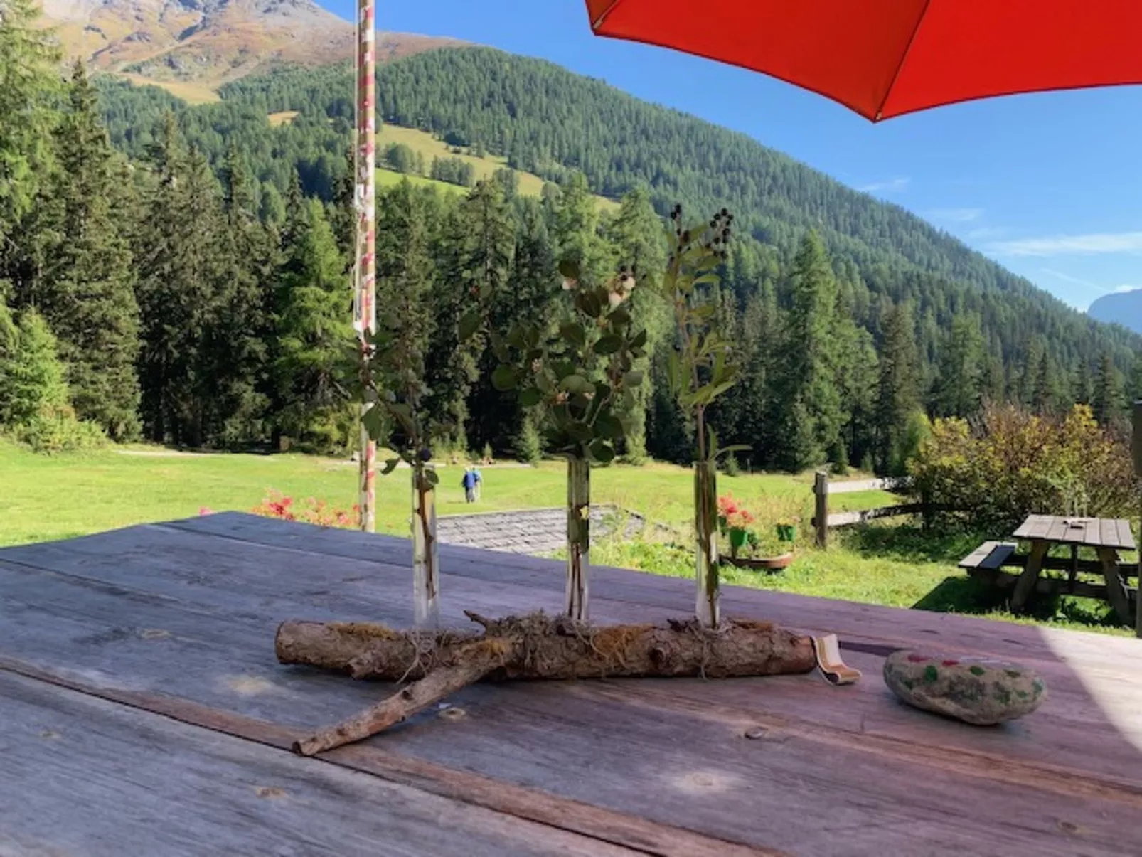 Chasa Bazzi, (Scuol). - Buiten