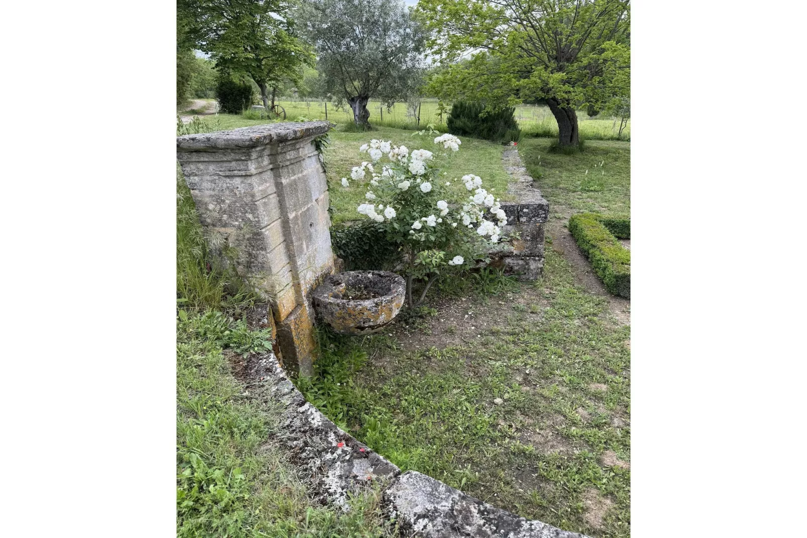 Luberon - Gebieden zomer 1km