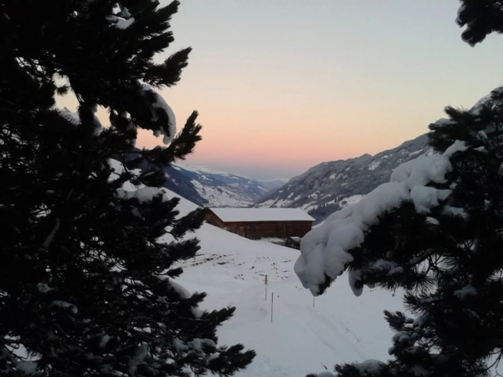 La Sclarida Kissling, (Segnas/Disentis). - Buiten