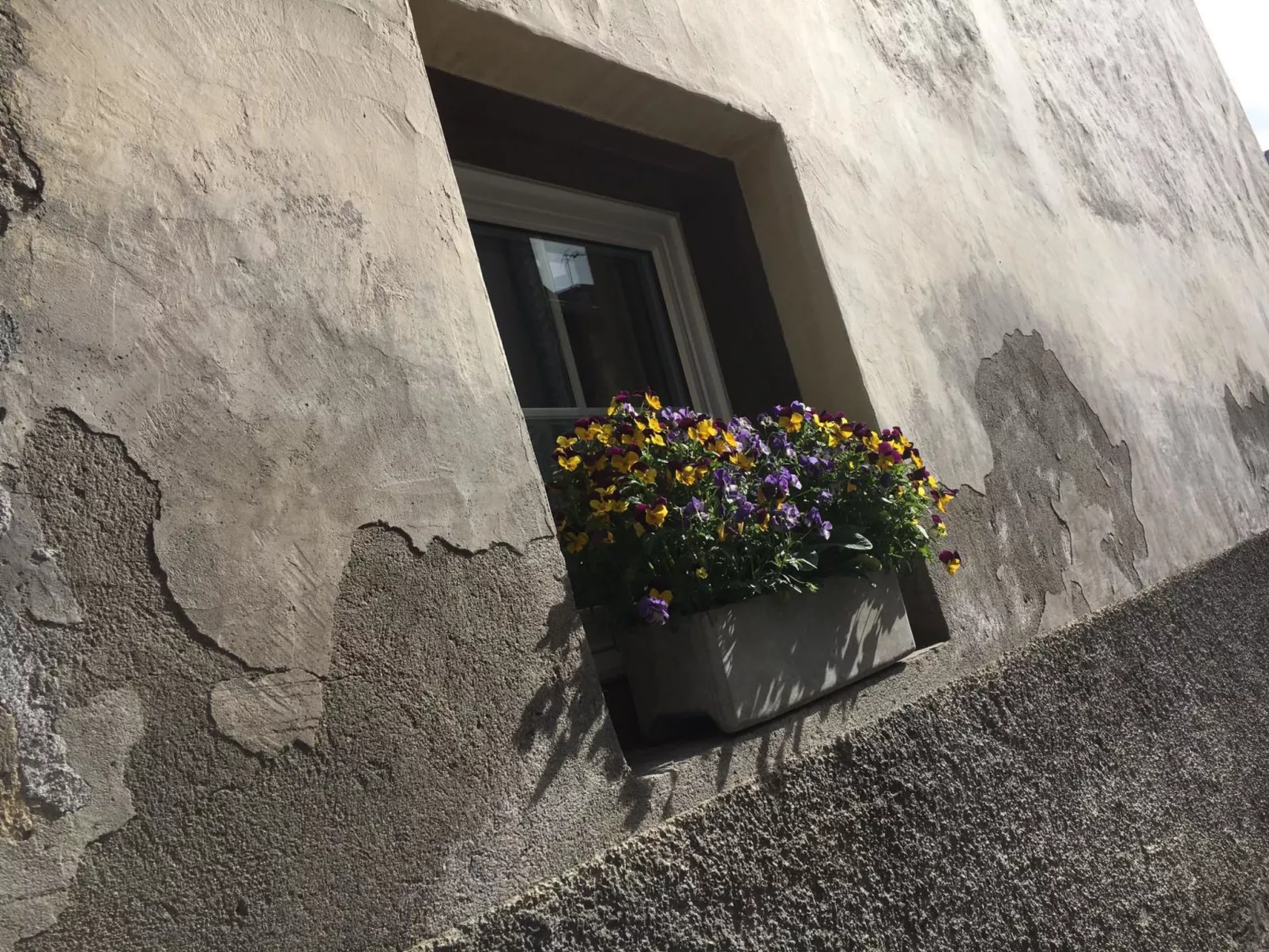 Privatzimmer bügl süt, (Sent). - Buiten
