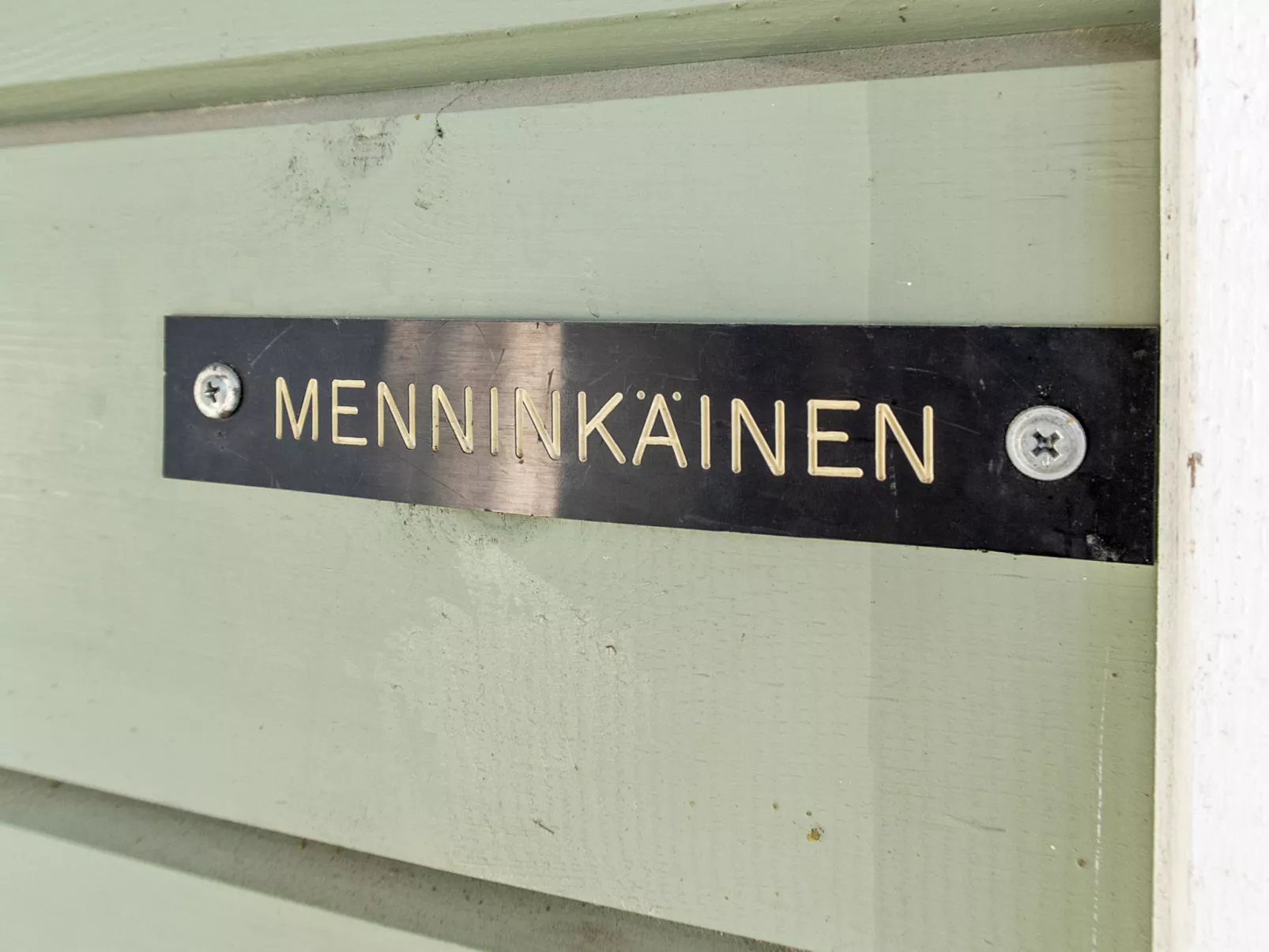 Menninkäinen - Binnen