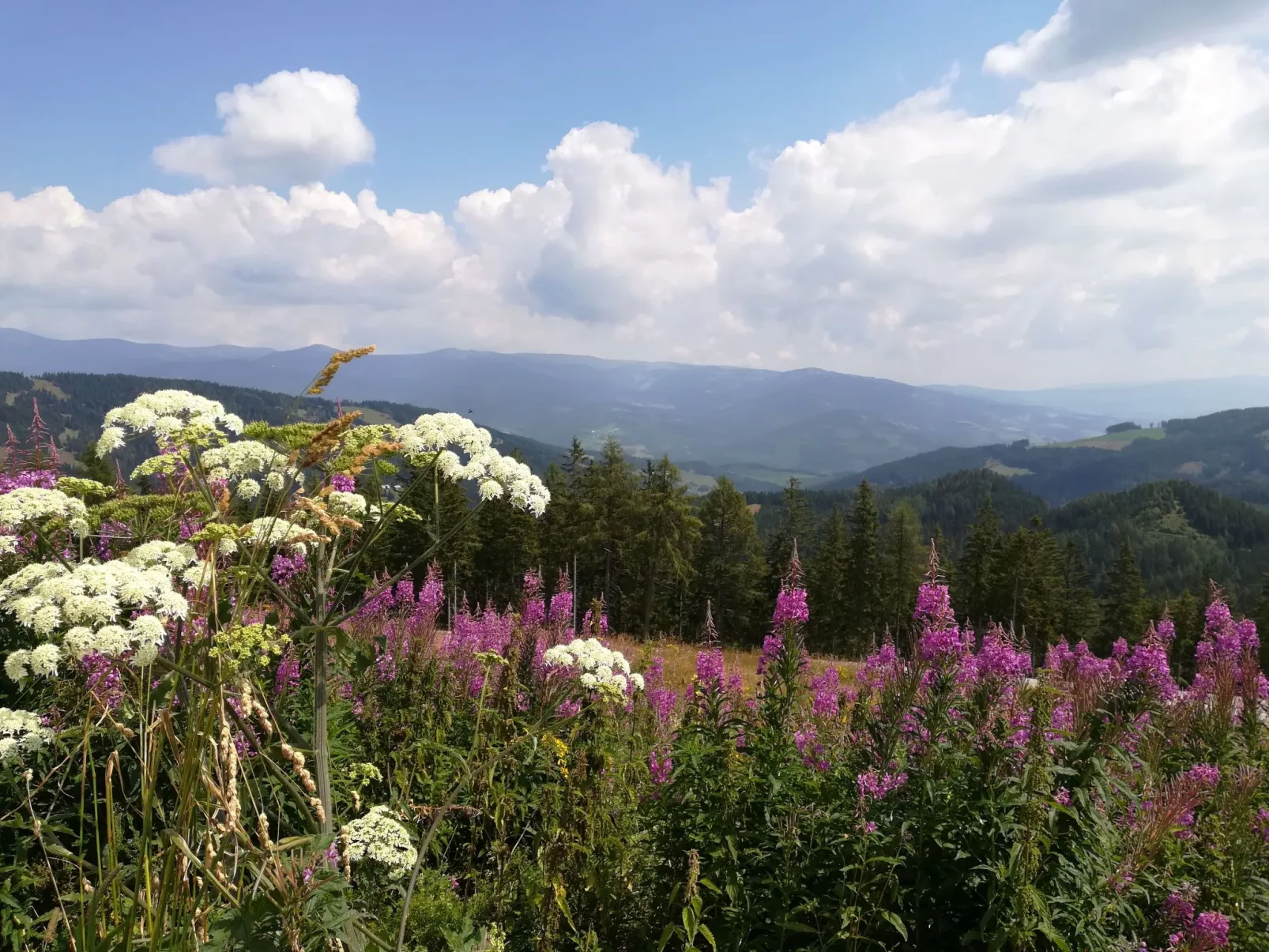 Gemütliche Bergehütte für acht Personen mit Outdoor-Badefass und Sauna - Buiten