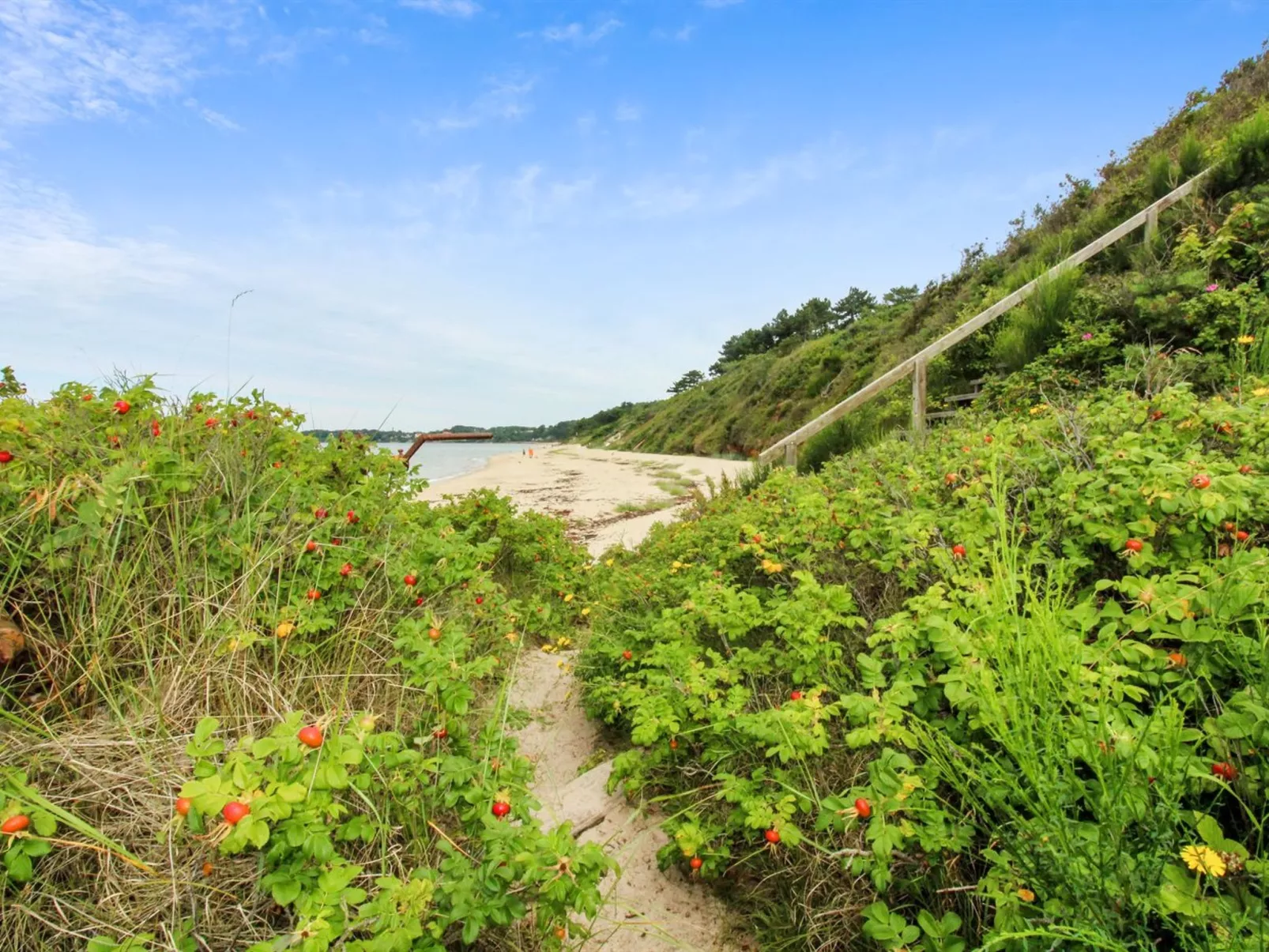 "Aida" - 400m from the sea - Buiten