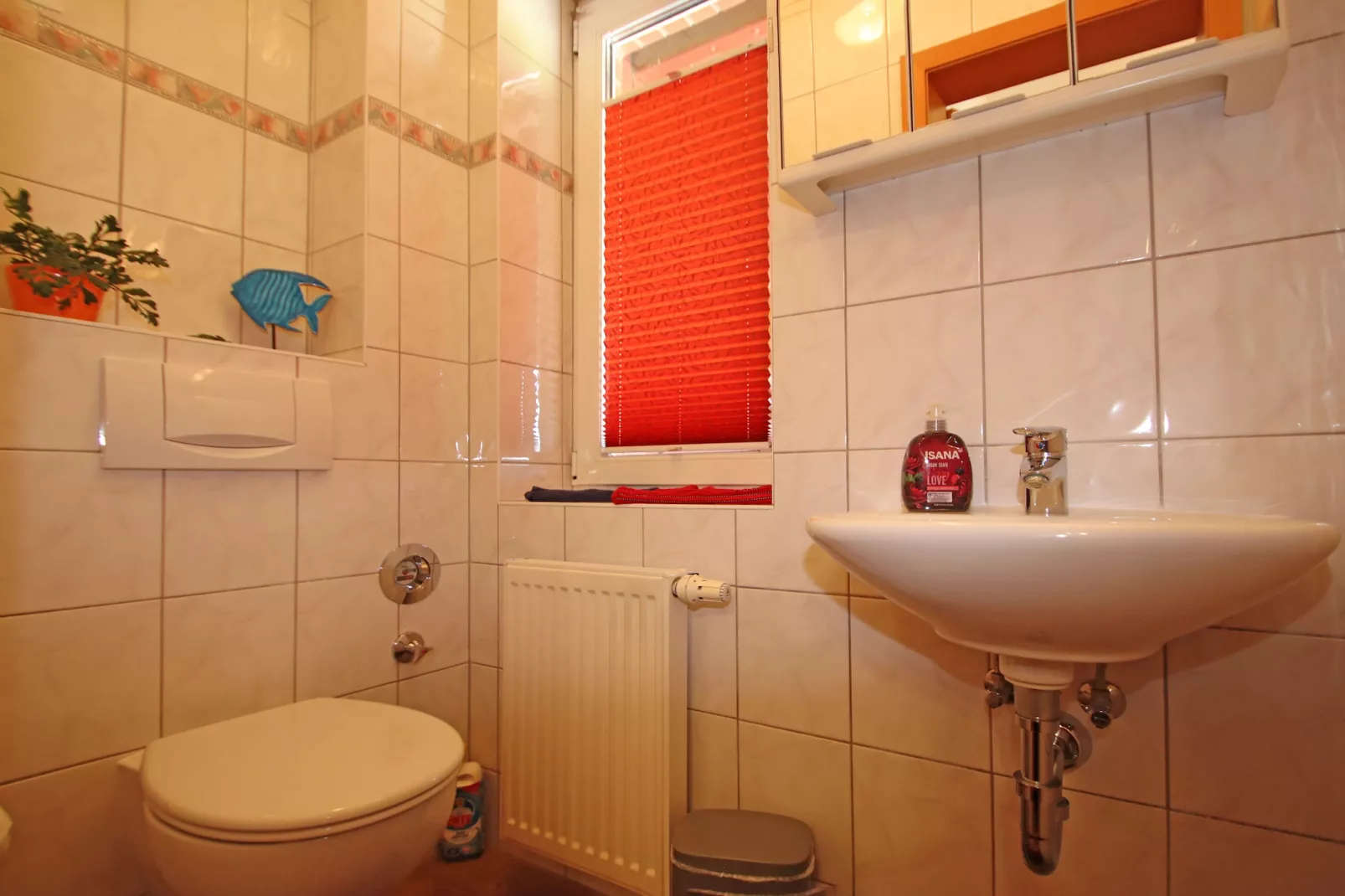 Schönes Ferienhaus in Alt Bukow Gaida - Badkamer