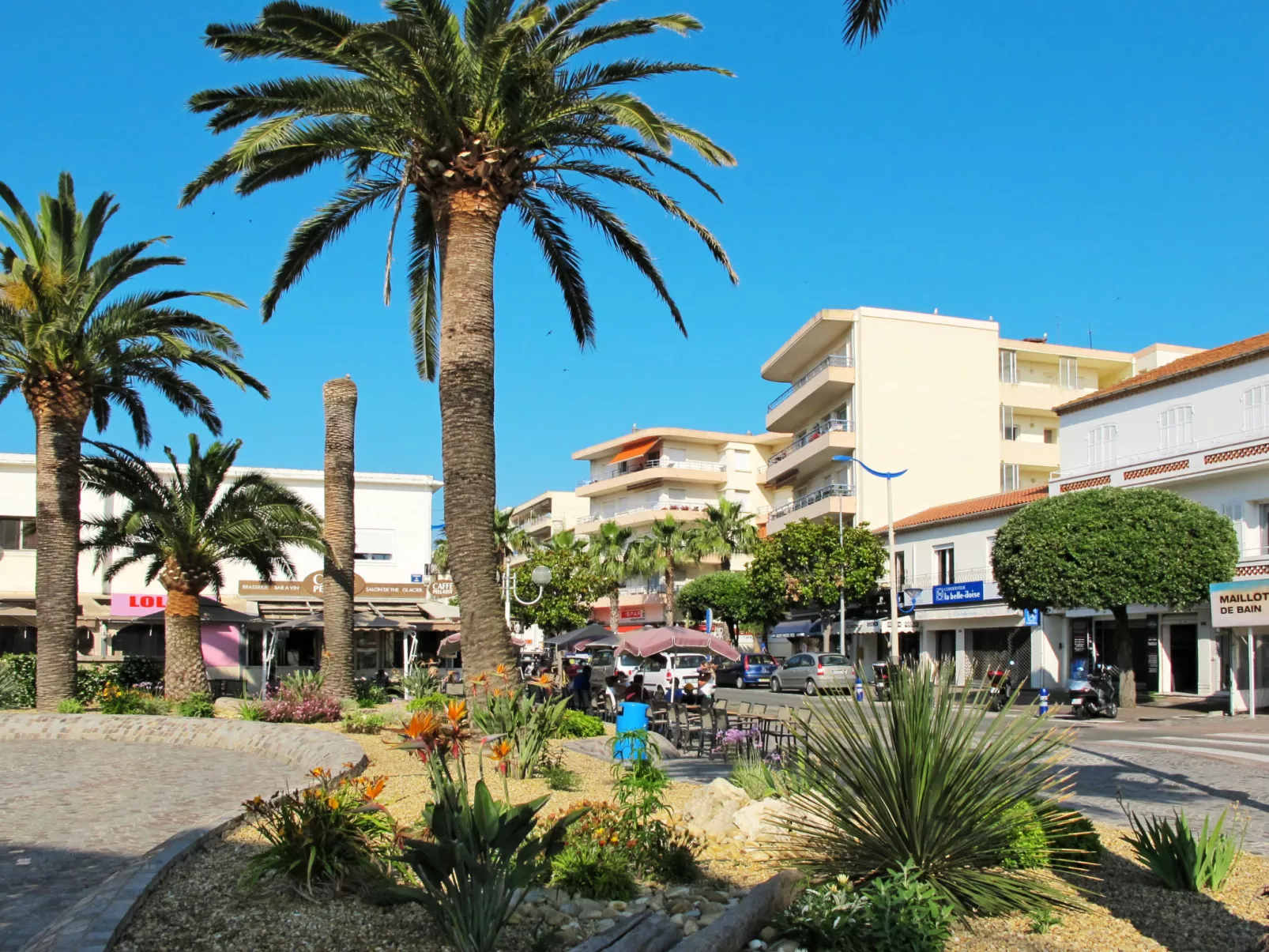 La Palmeraie - Omgeving