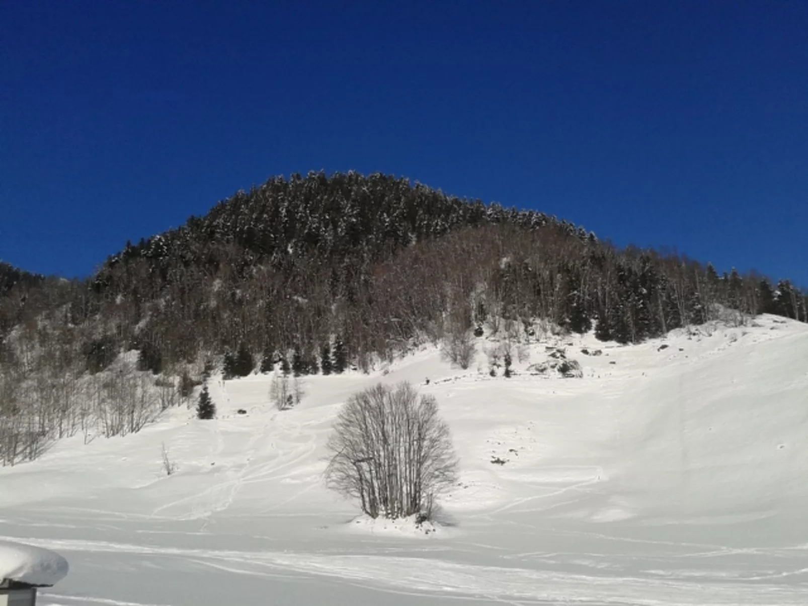 La Sclarida Kissling, (Segnas/Disentis). - Buiten