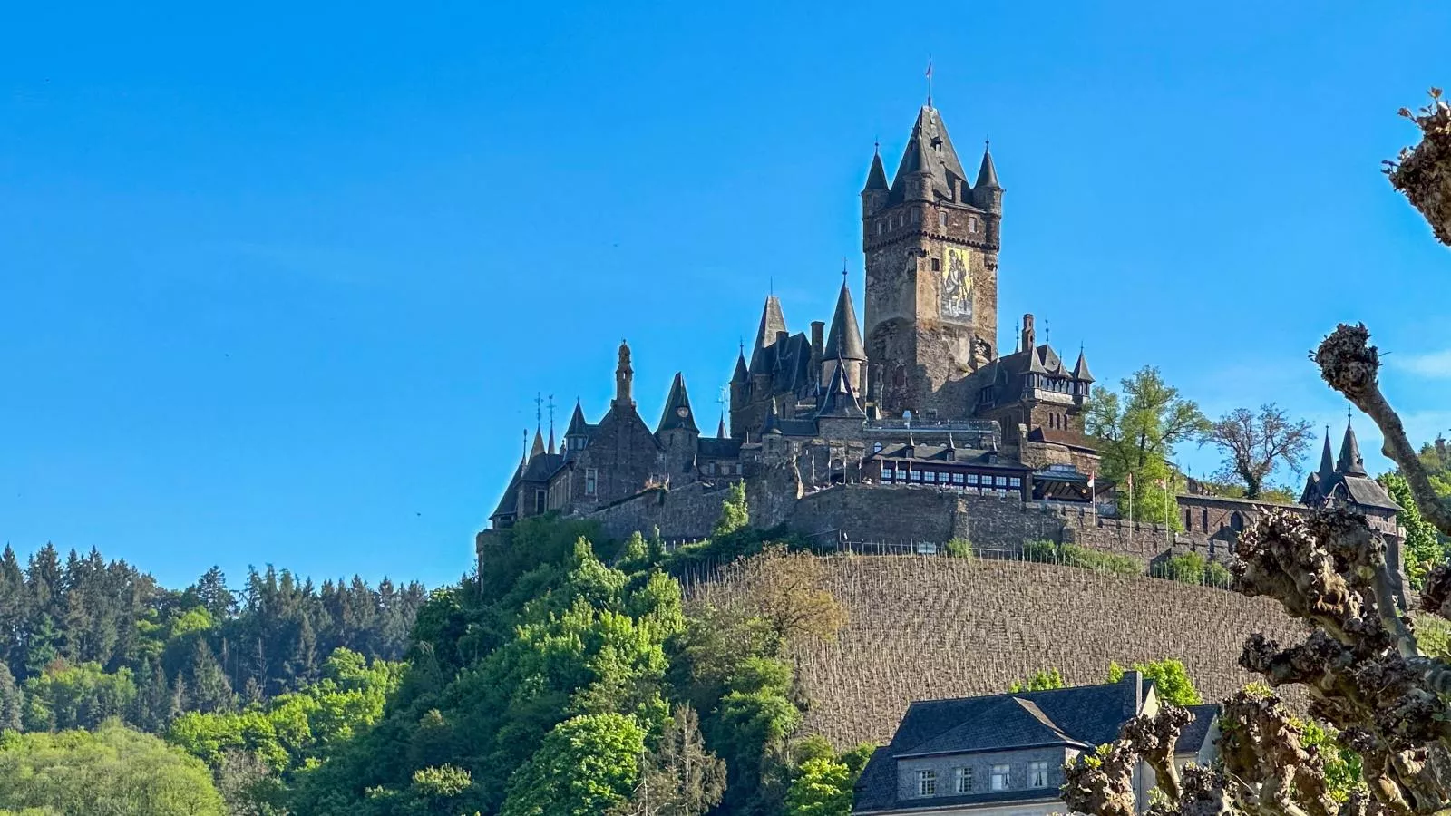 Cochem 2 - Gebieden zomer 1km