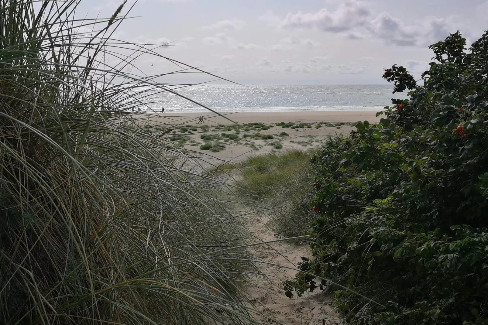 4 persoons vakantie huis in Blåvand - Niet-getagd