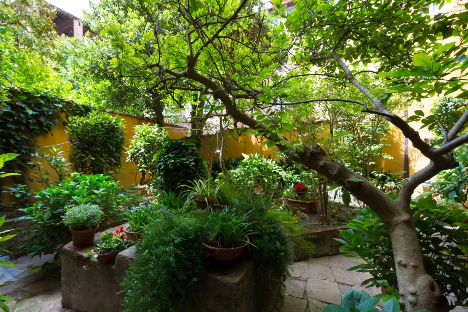 Casa Giustina