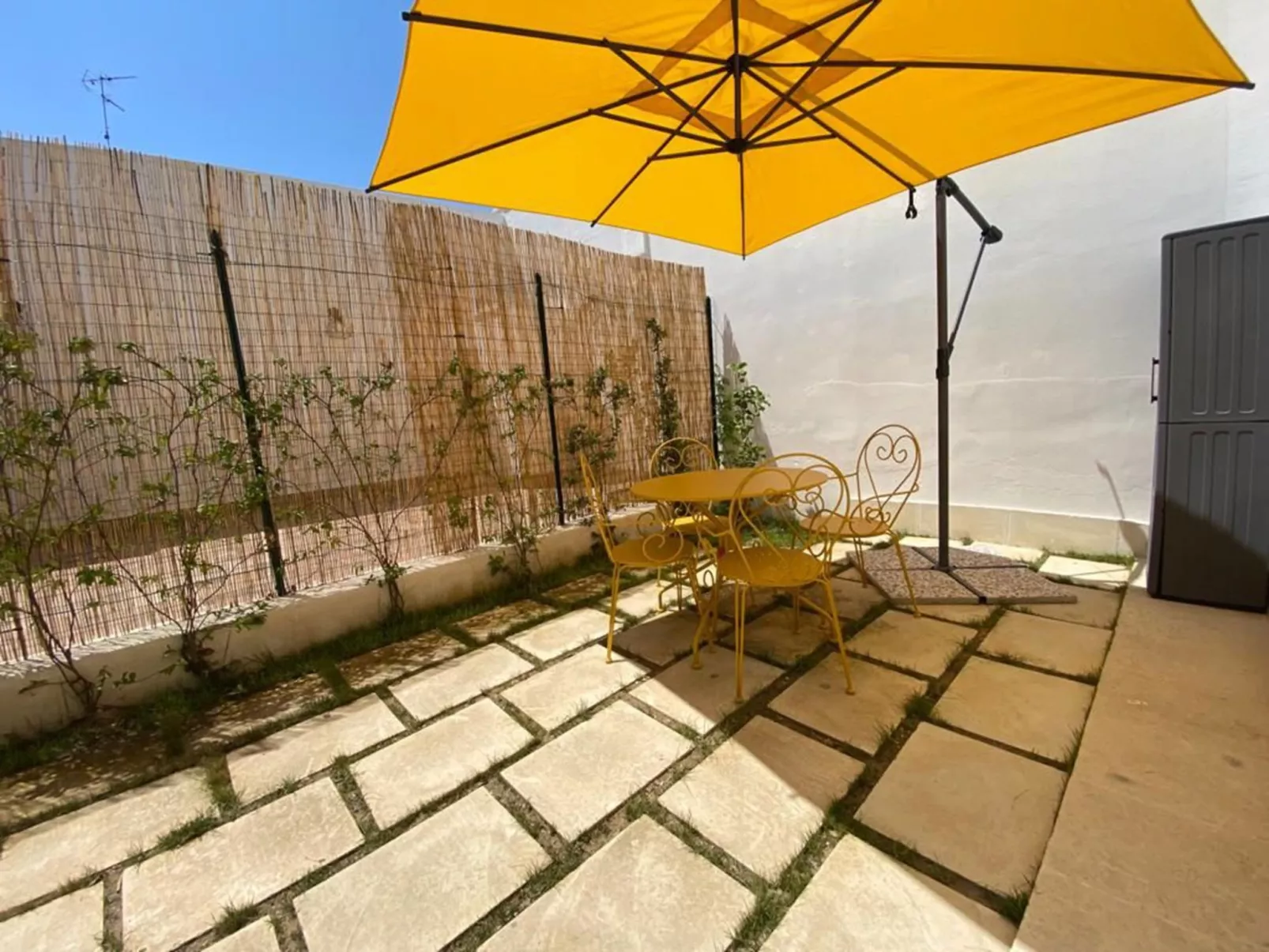 Spicchi di Salento - Limone-Buiten