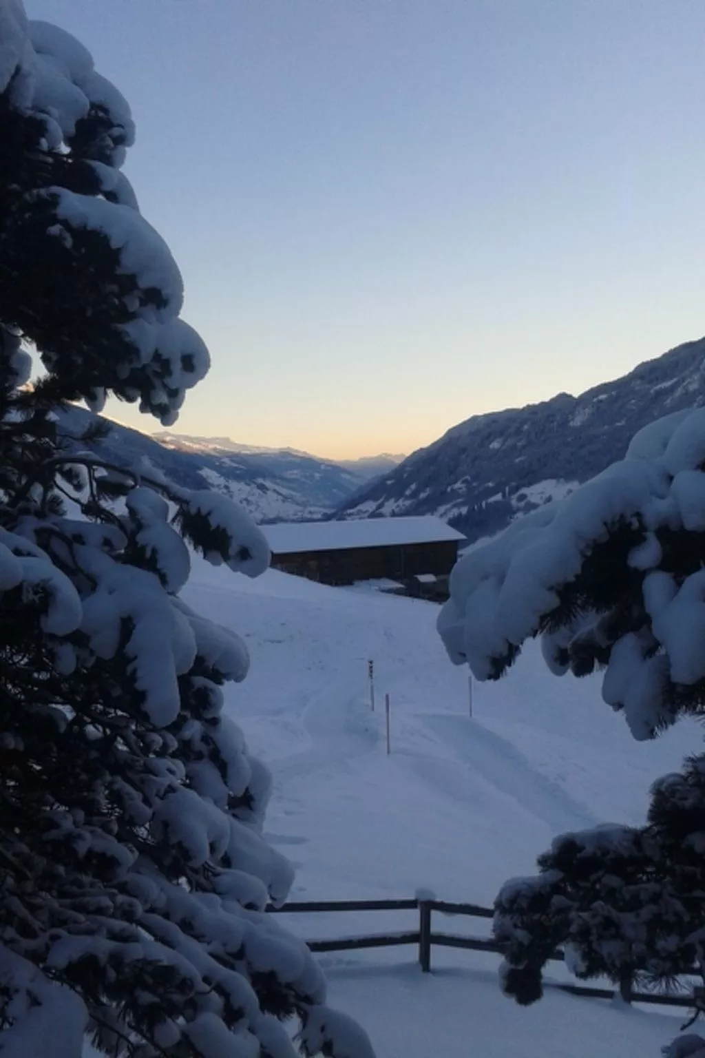 La Sclarida Kissling, (Segnas/Disentis). - Buiten