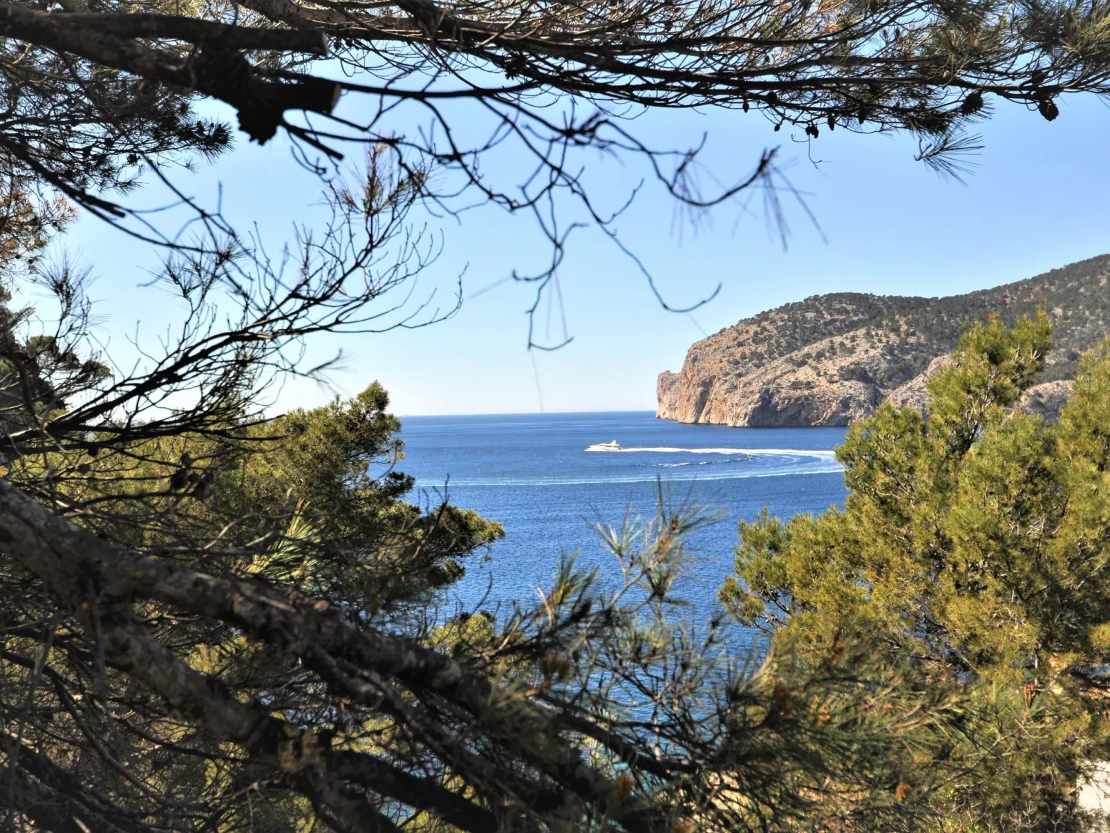 Villa CA TOTHOM con vistas al mar Camp de Mar para 8 personas (4 habitaciones) - Buiten