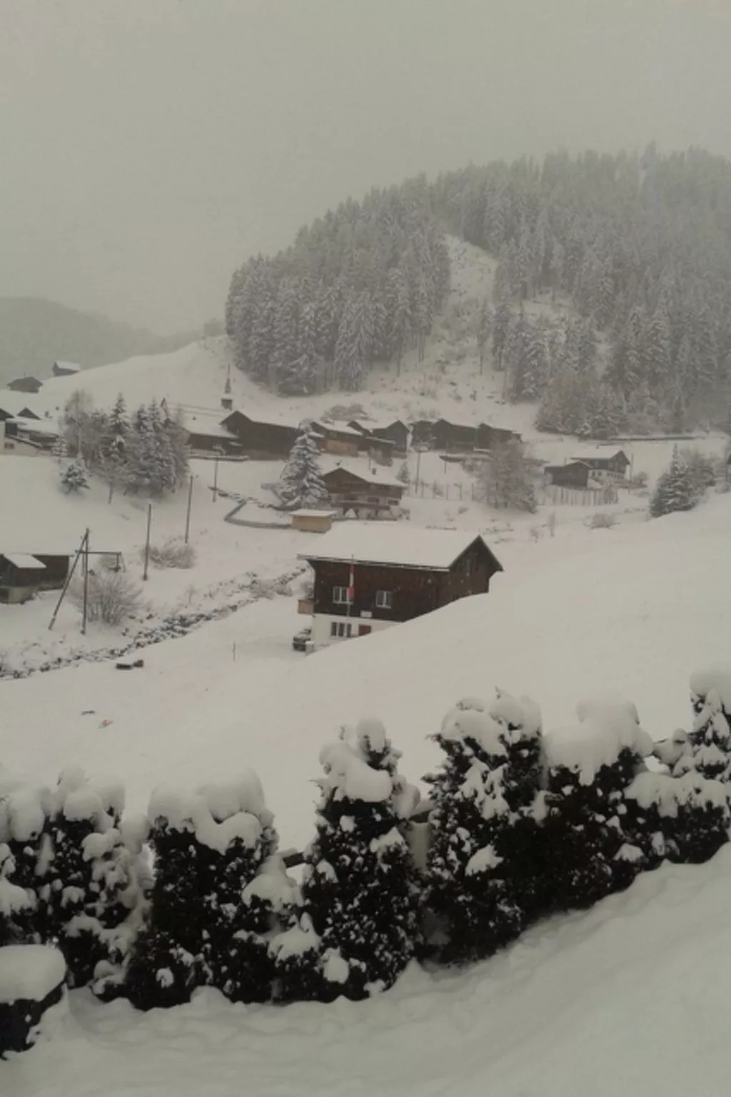 La Sclarida Kissling, (Segnas/Disentis). - Buiten