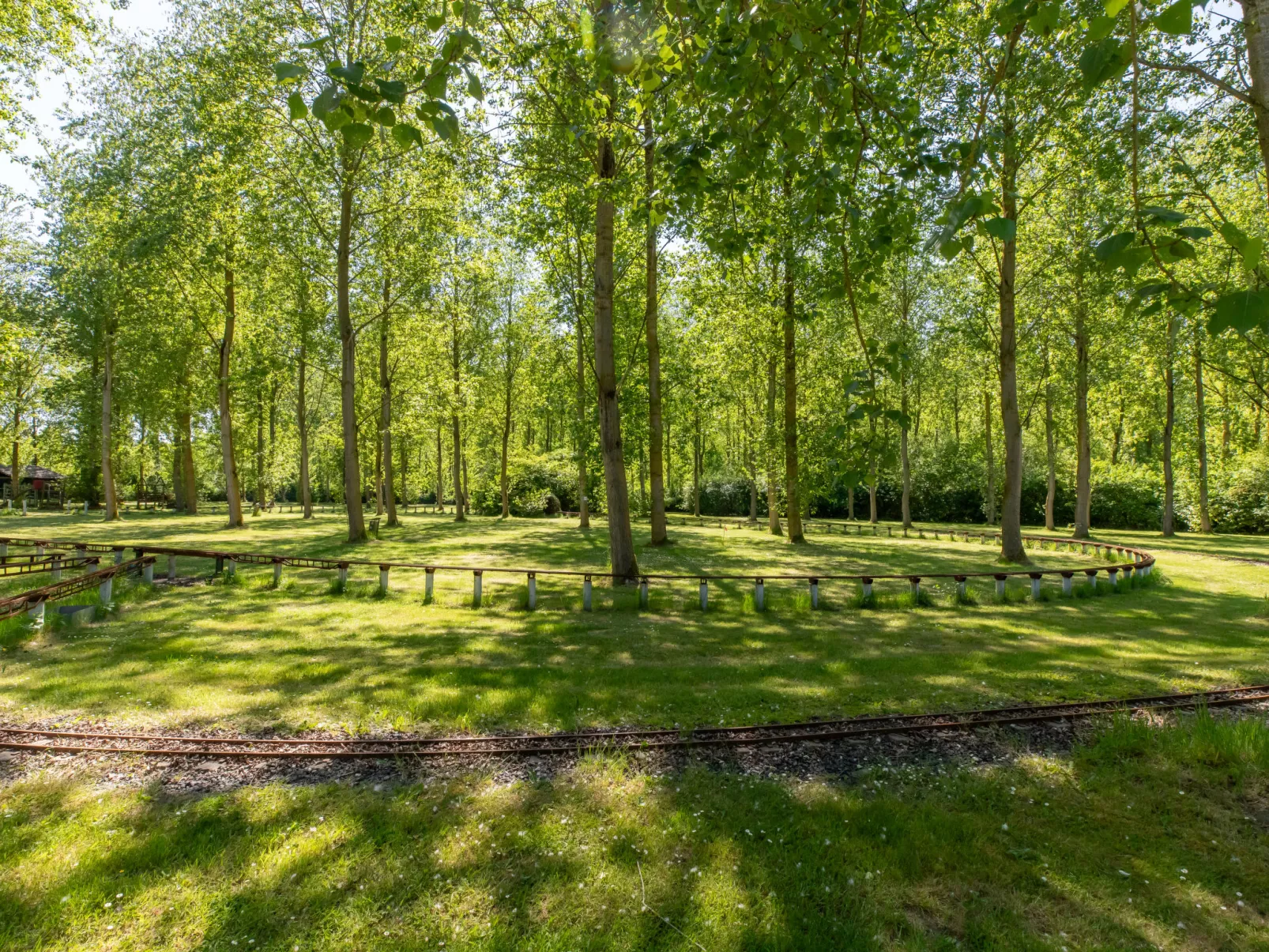 Tiny Cabin Sunshine no 21 - Buiten