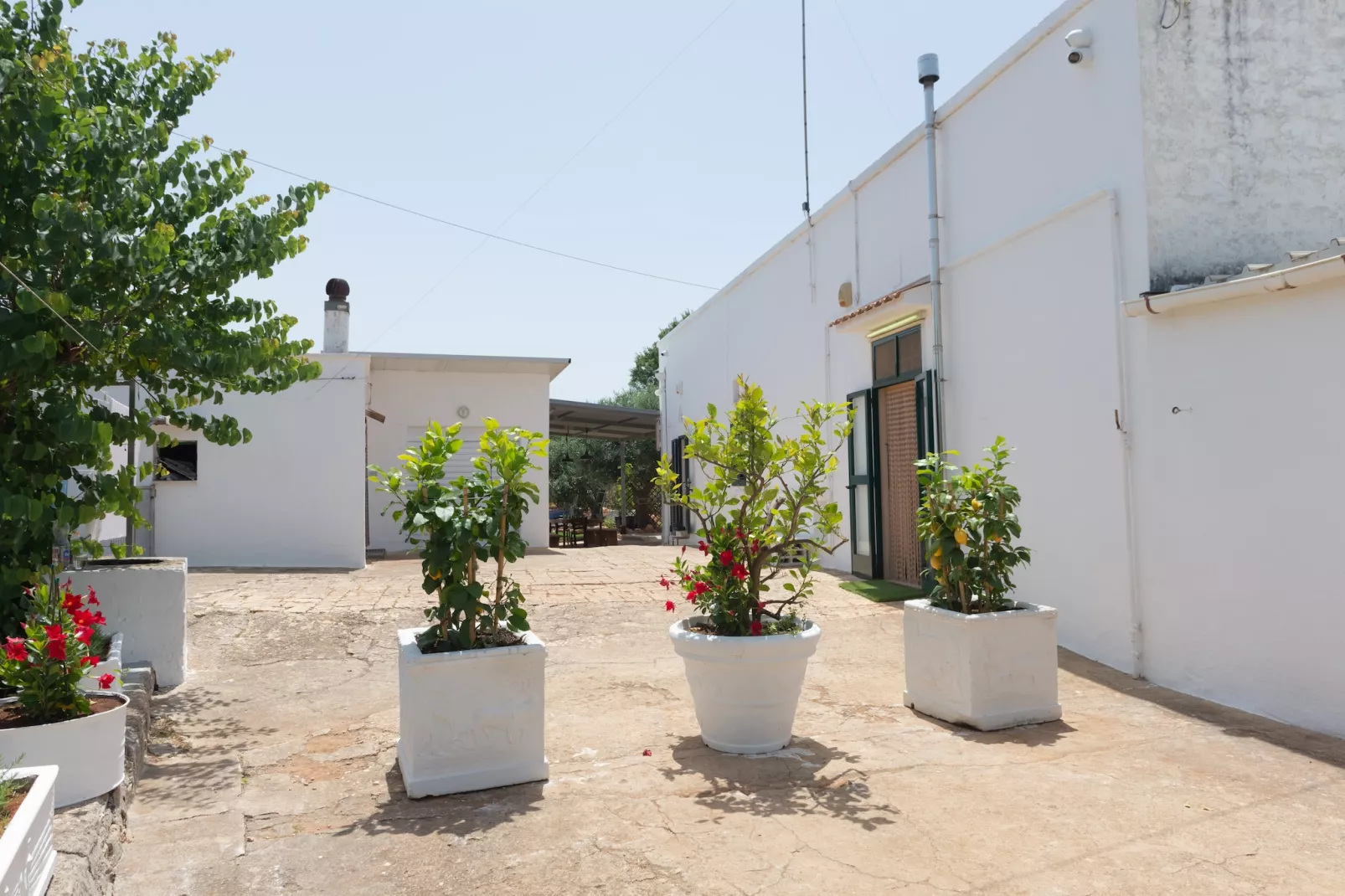 Lamia Papo in Ostuni - Tuinen zomer