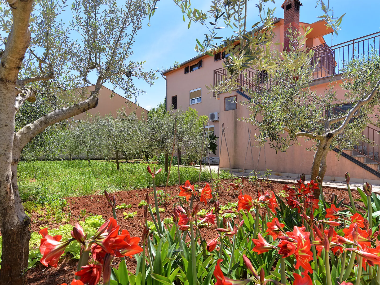 Apartment 250 - Buiten