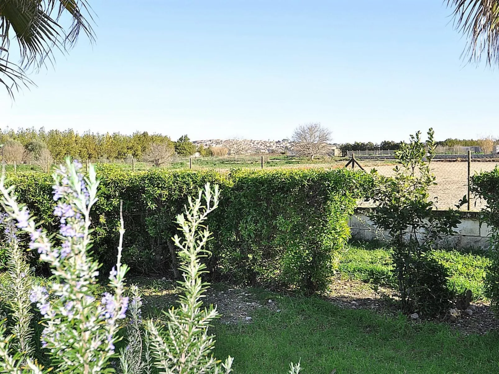 Finca SON VANRELL -Finca Rústica en Montuiri. Piscina Privada. Mallorca - WiFi - Buiten