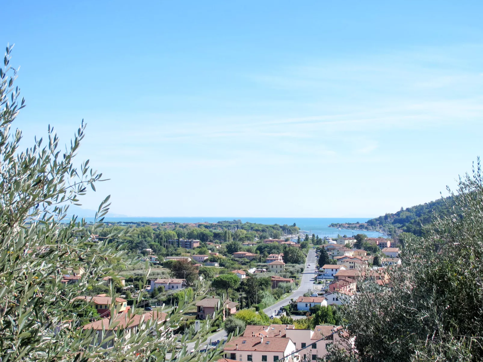 Zypressen, ein Haus im Wald an der ligurischen Riviera - Omgeving
