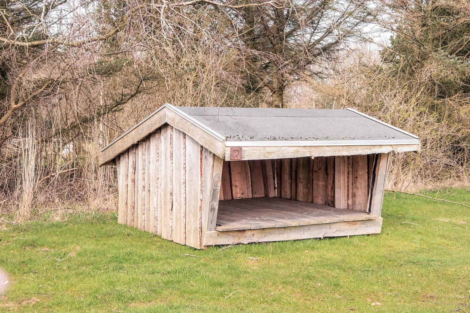 6 persoons vakantie huis in Ringkøbing - Uitzicht