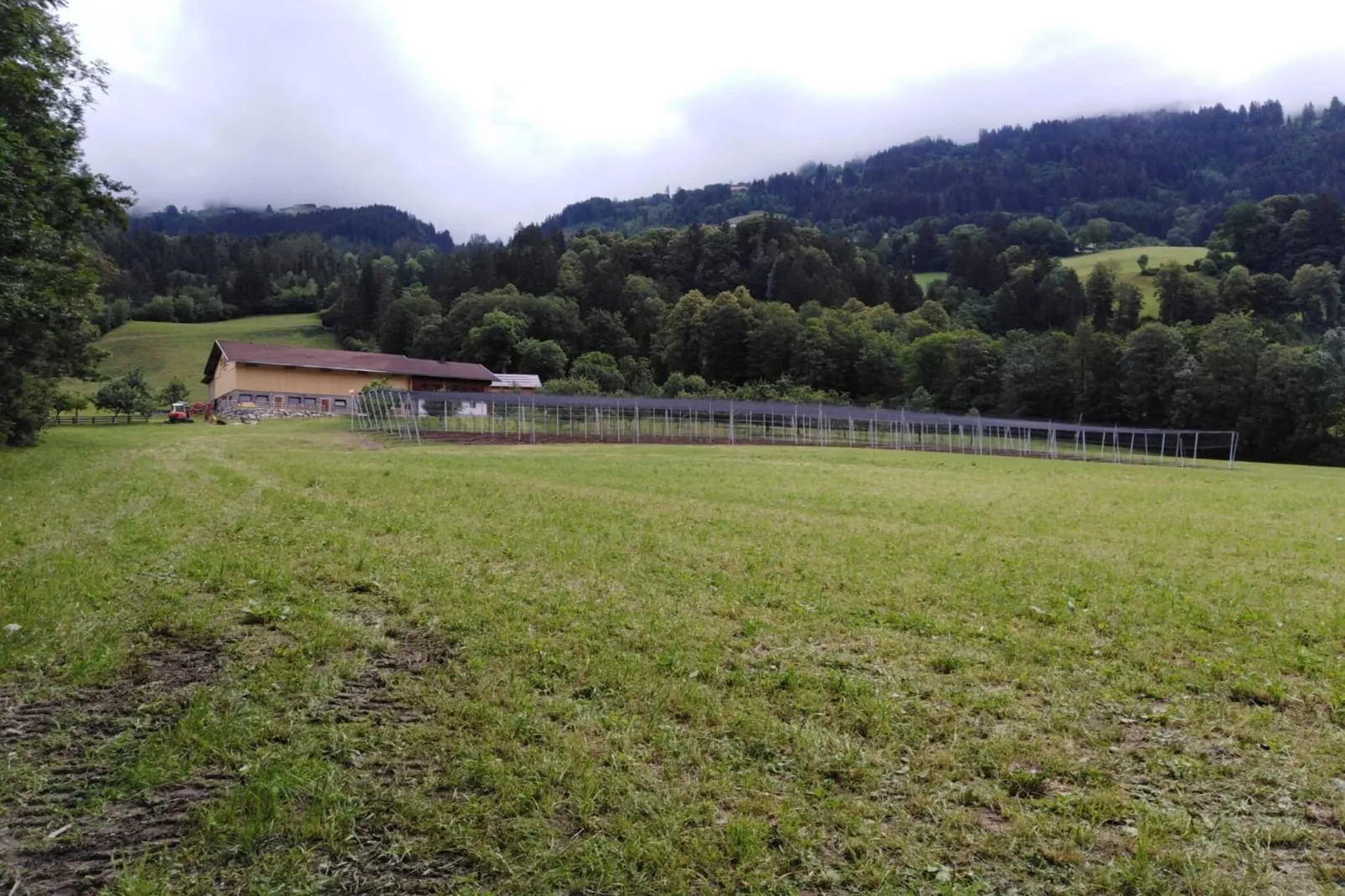 Steinachhof