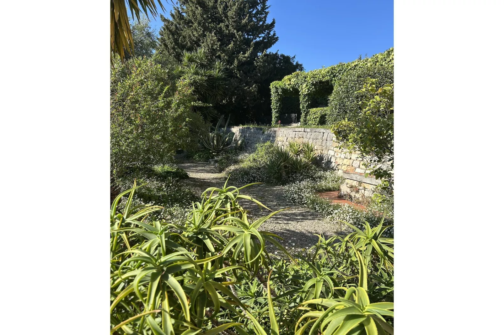 Grasse - Gebieden zomer 1km