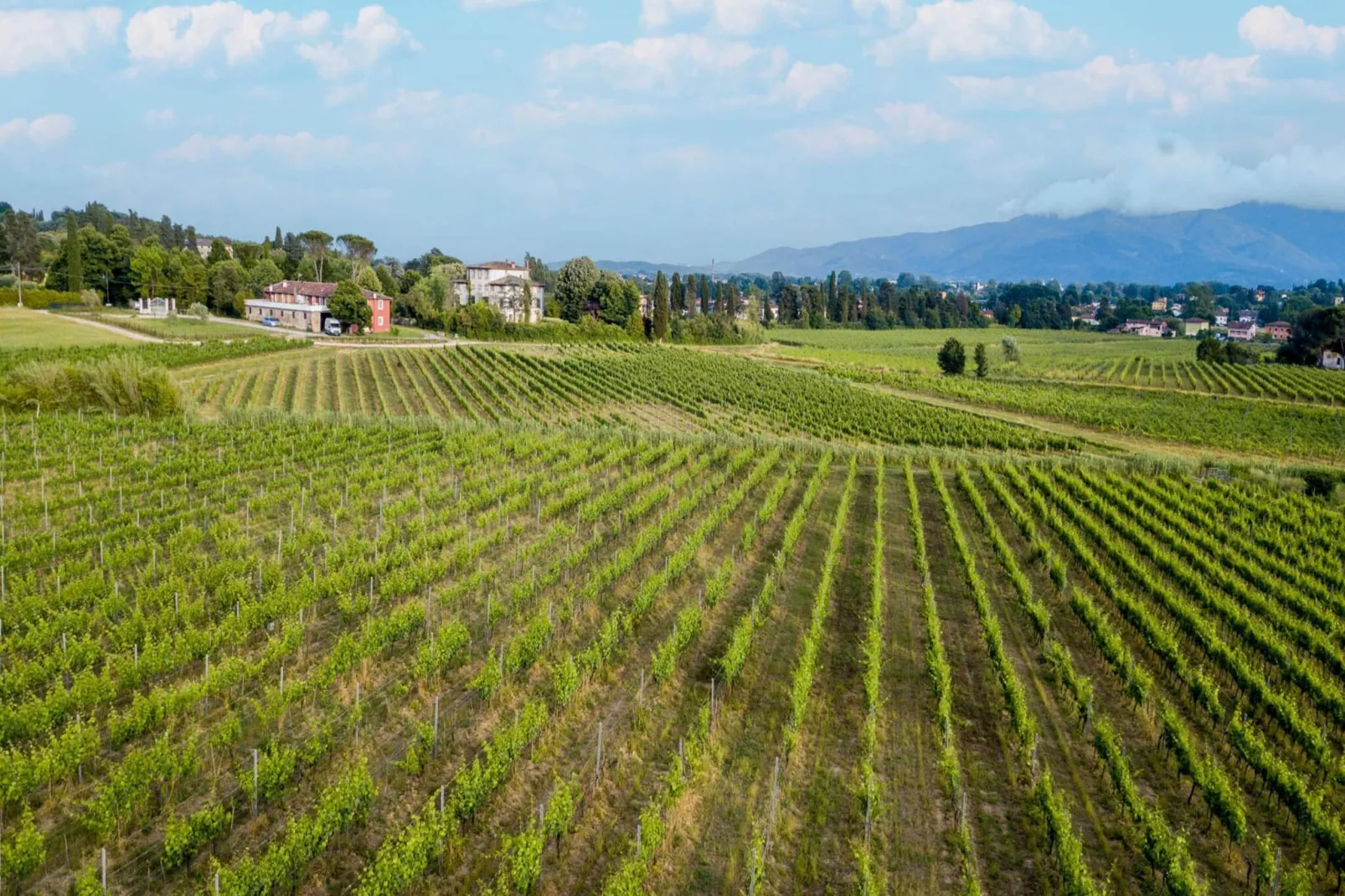 Anna Farmhouse Apartment in Wine Resort in Lucca - Buitenkant zomer