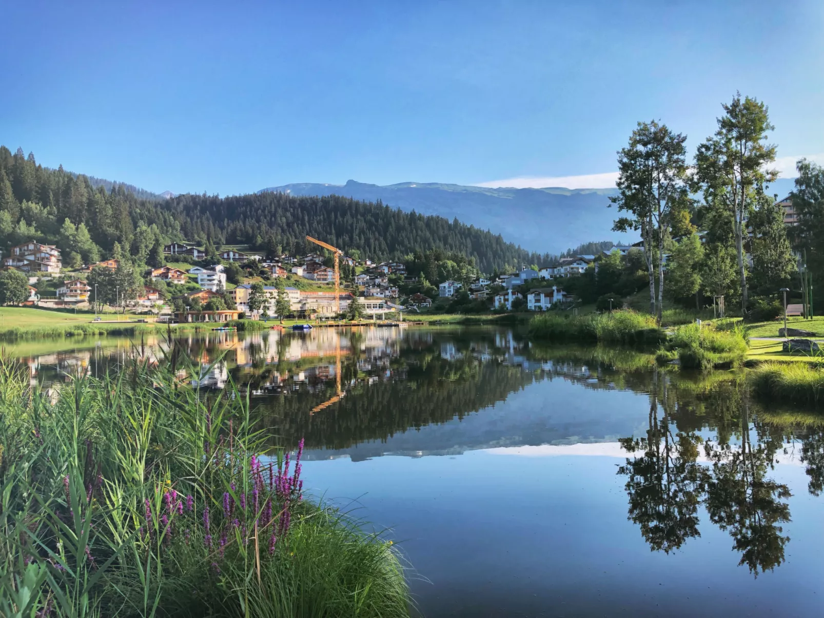 Mira Piz Signina, (Laax Dorf), 37024
