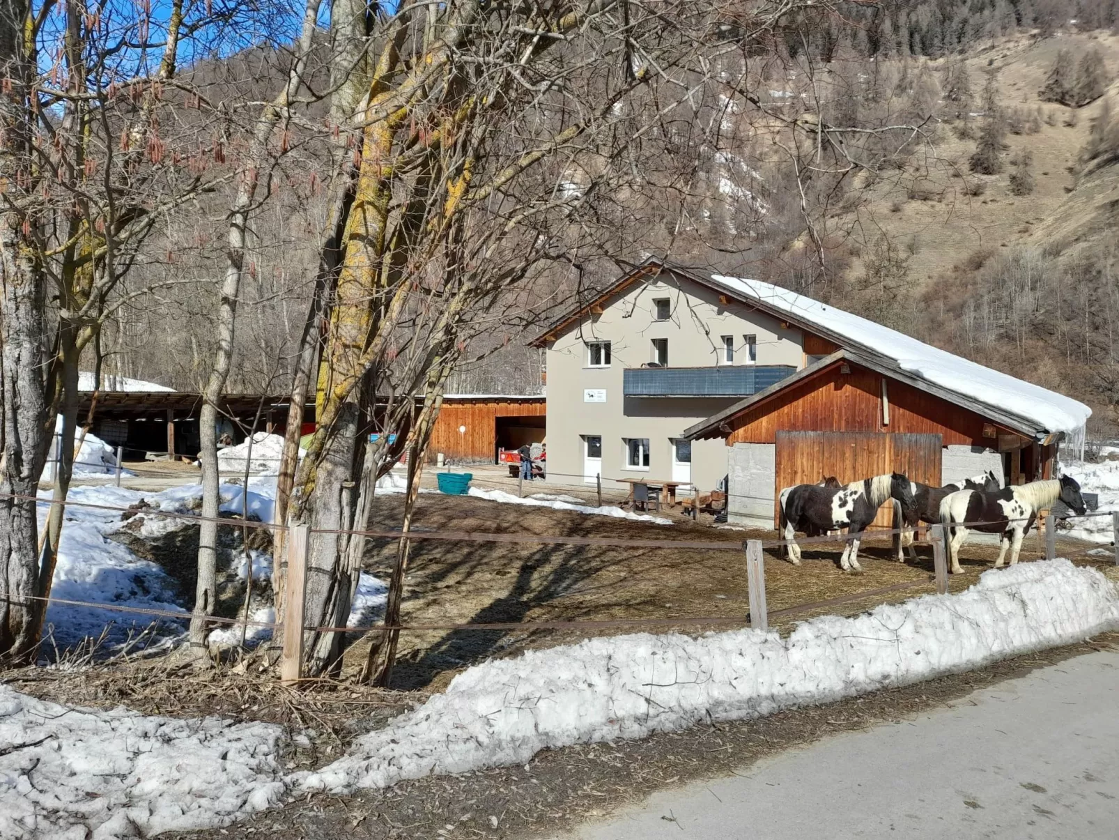 Ferienwohnungen Paclerahof, (Sta. Maria - Santa Maria Val Müstair). - Buiten