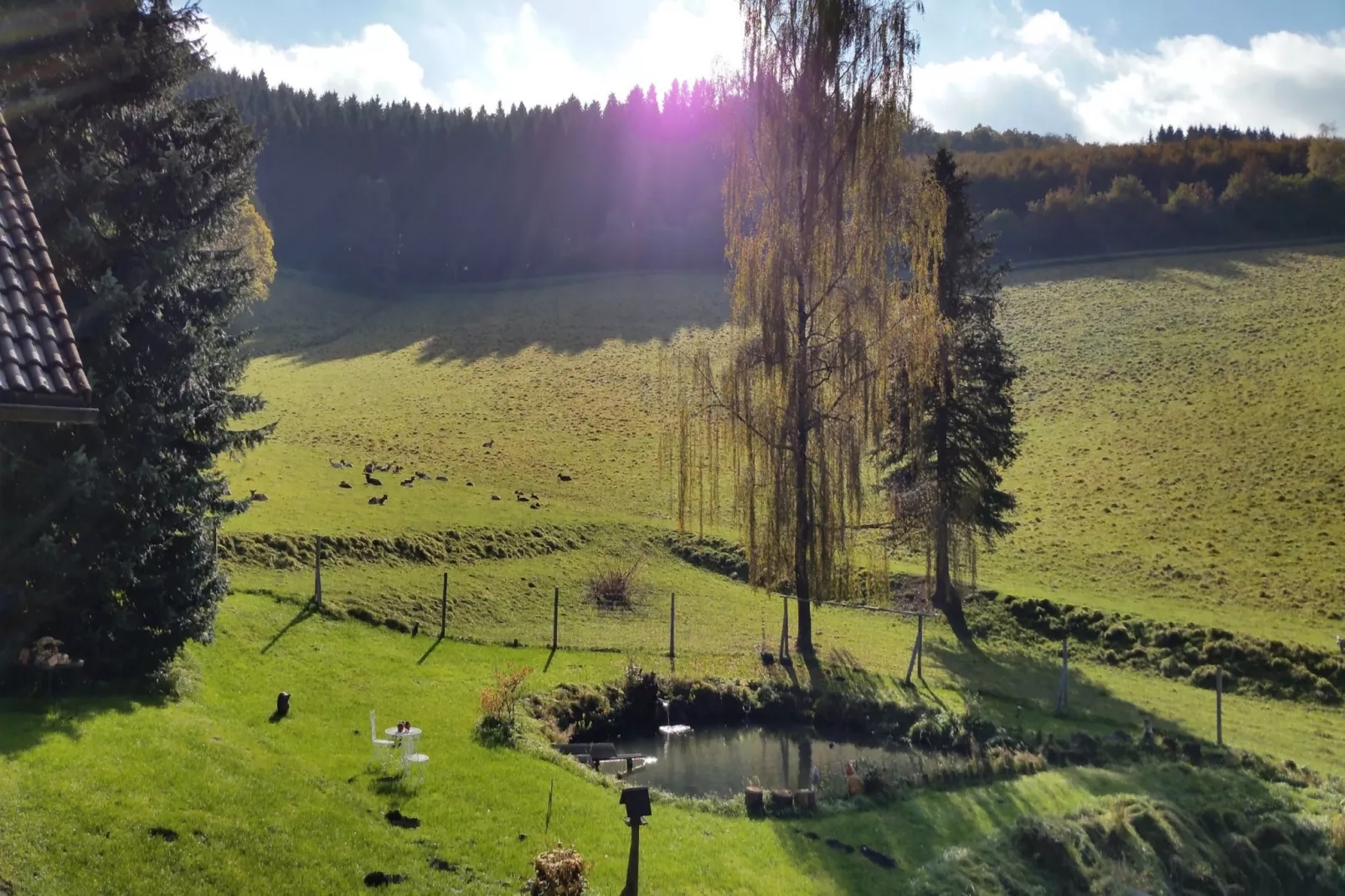 Am Damwildgehege - Uitzicht zomer