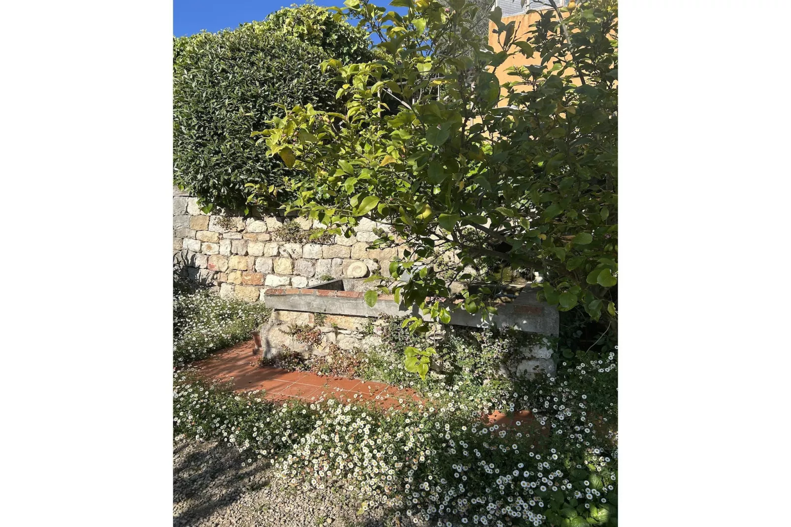 Grasse - Gebieden zomer 1km