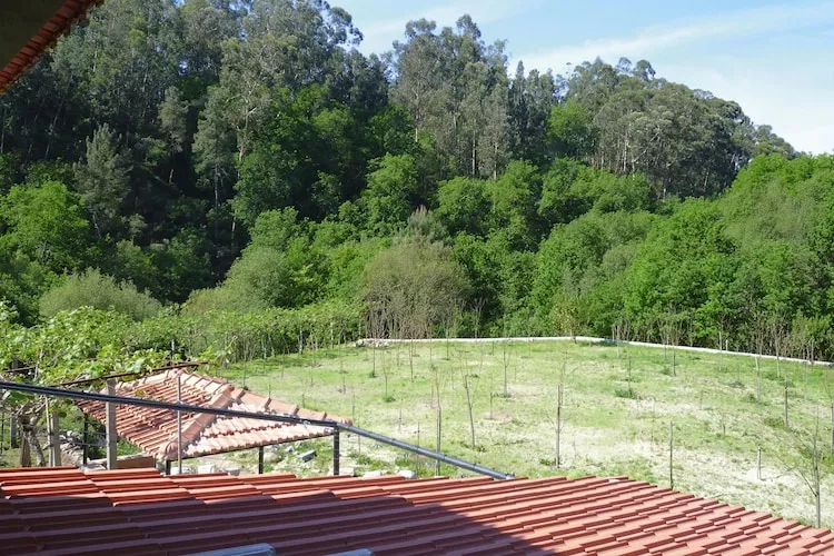 Holiday home Vale de Cambra - Tuinen zomer