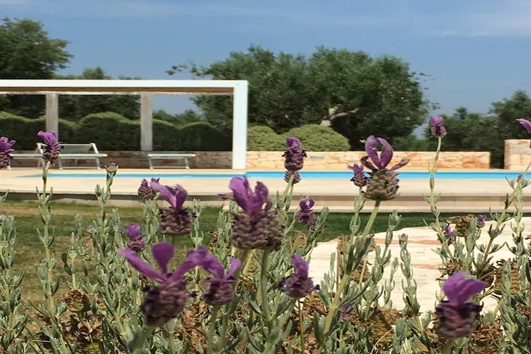 Trullo Amato Cisternino - Zwembad