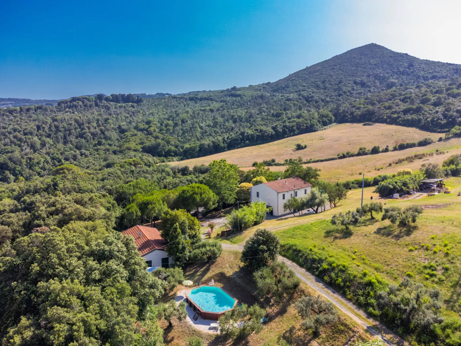 Podere gli Olivi