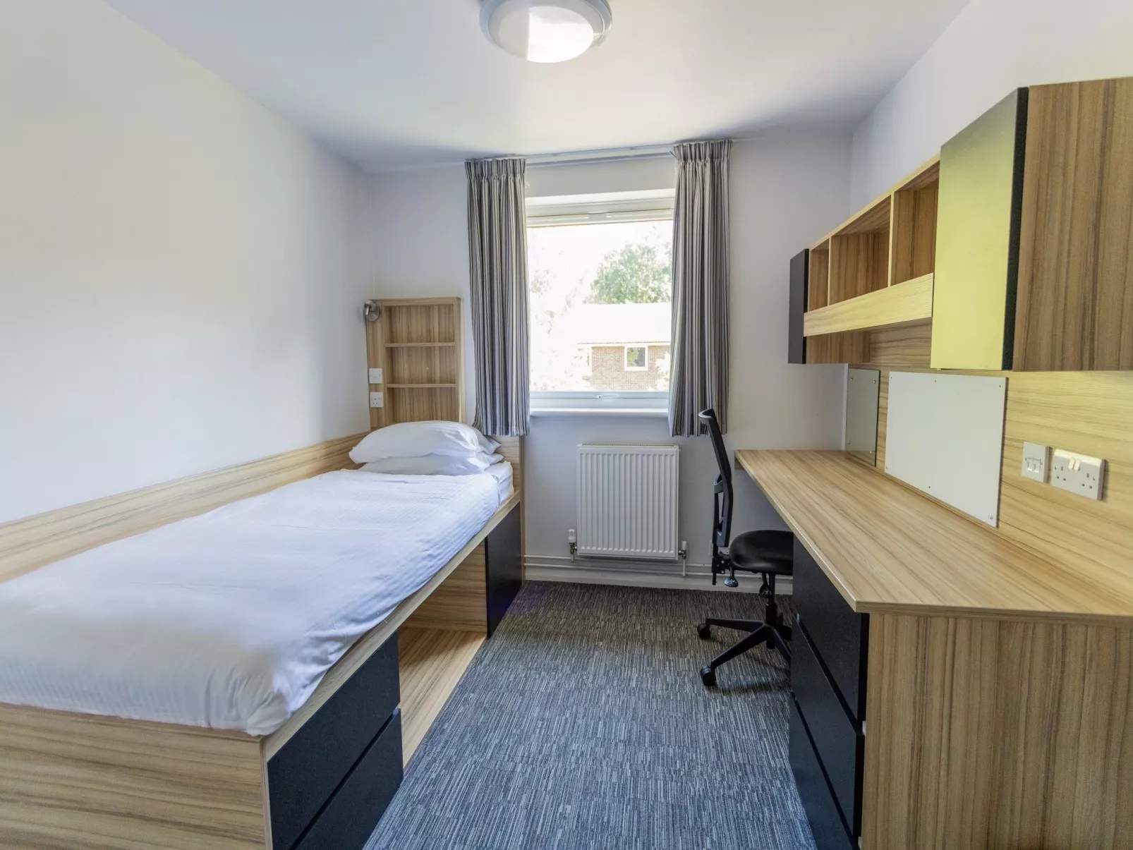 University Campus Park Wood