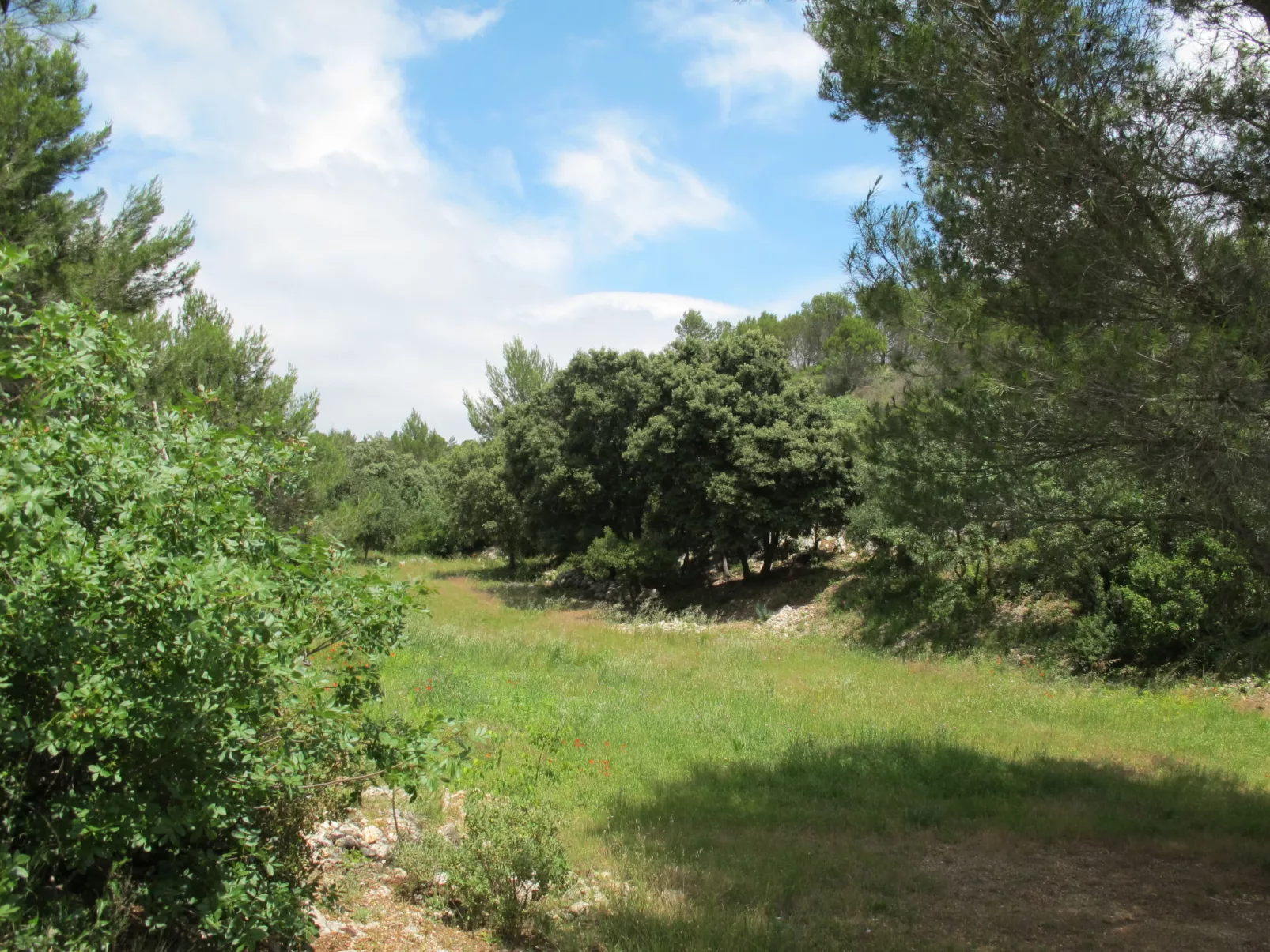 Les Garrigues d'Ozilhan-Buiten