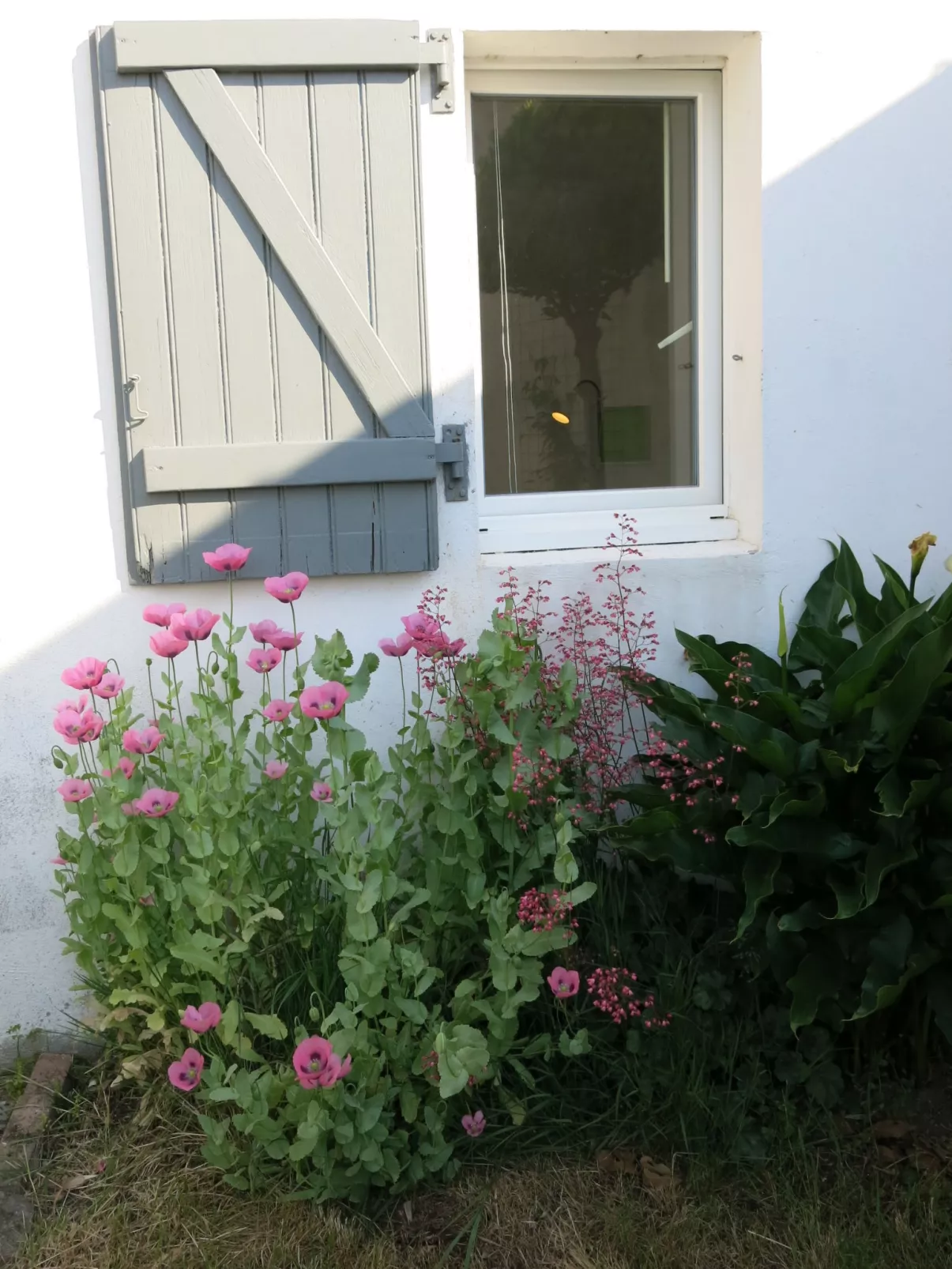 Roses Tremières-Binnen