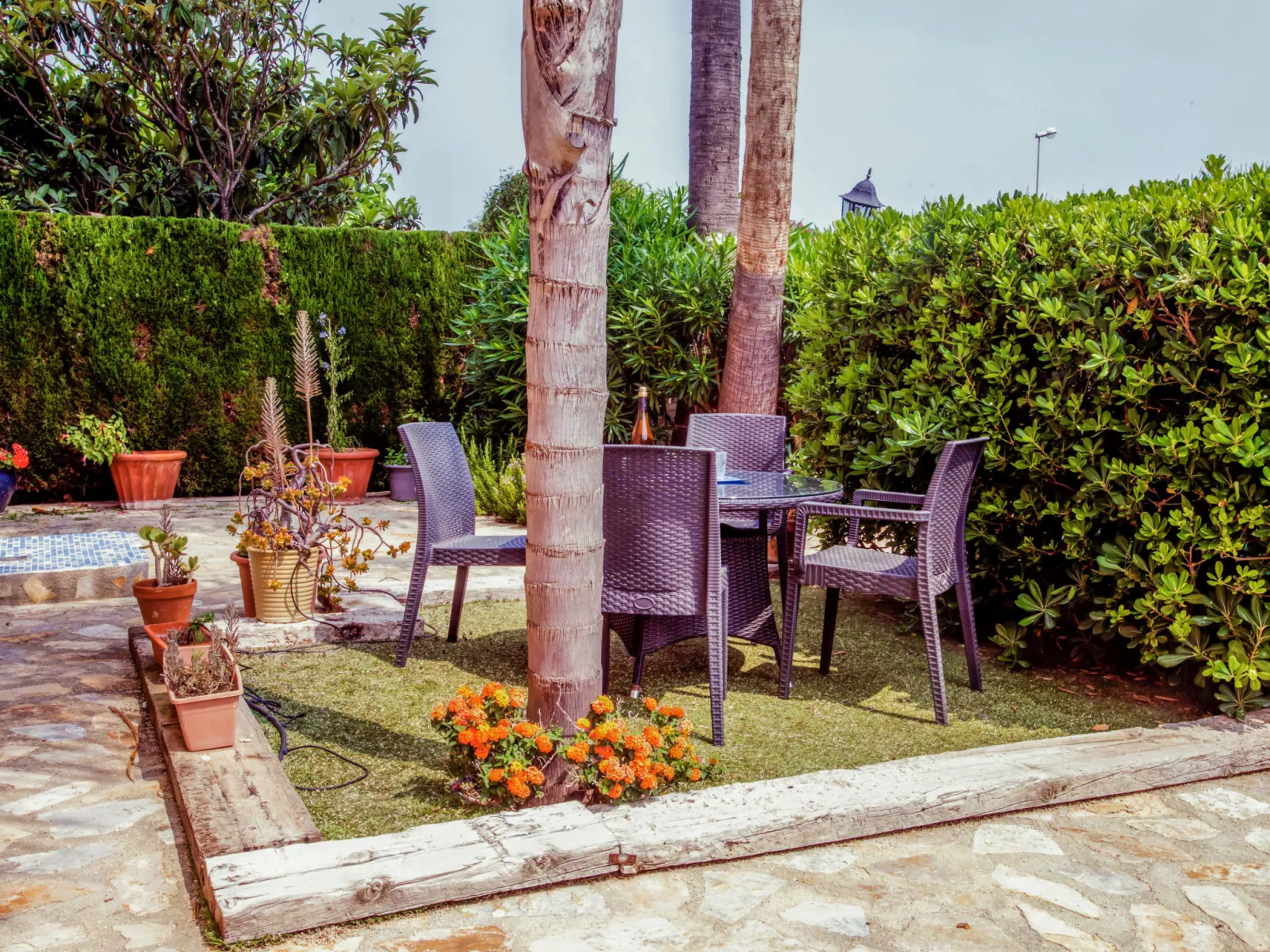 Casa Larauri Oliva Nova-Buiten
