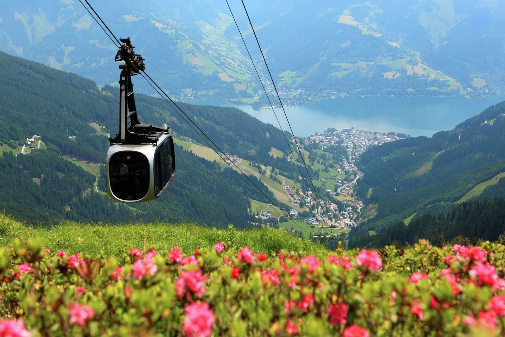 Chalet & Apartment AreitXpress Alpine Dreams-Gebieden zomer 1km