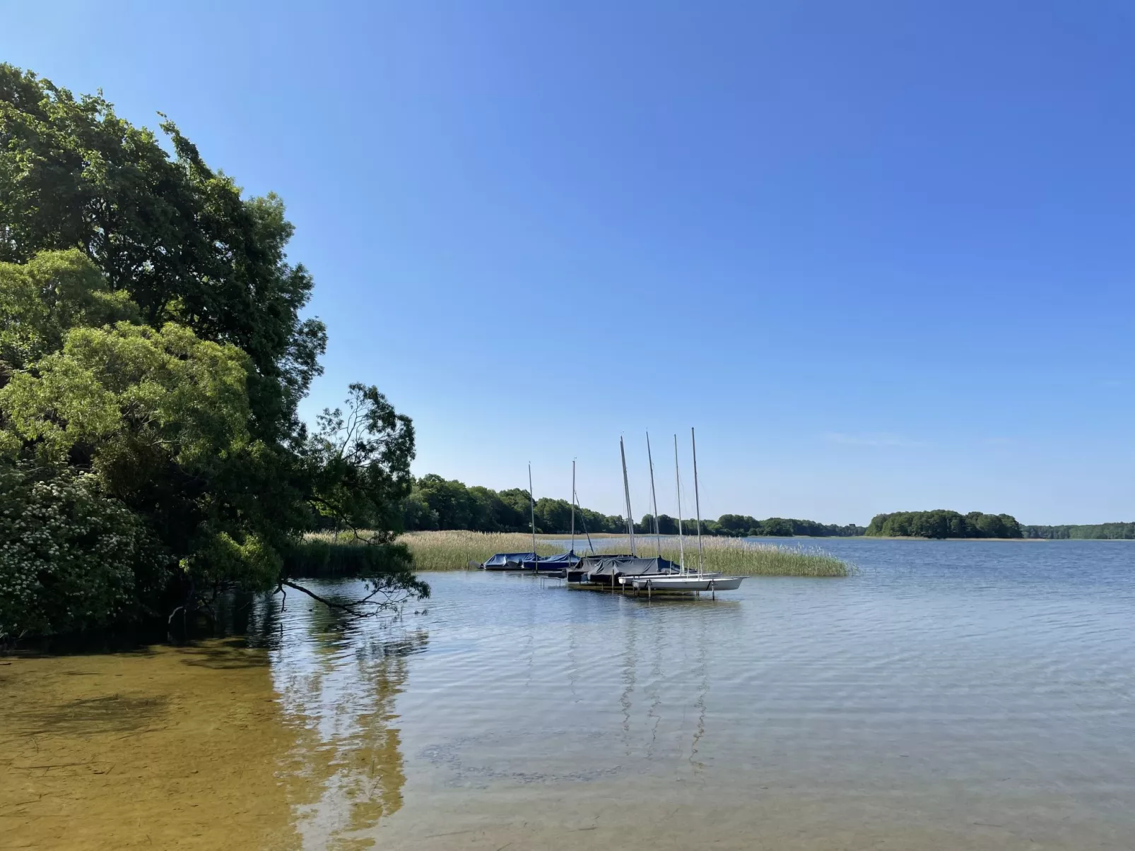 Wald und See-Buiten