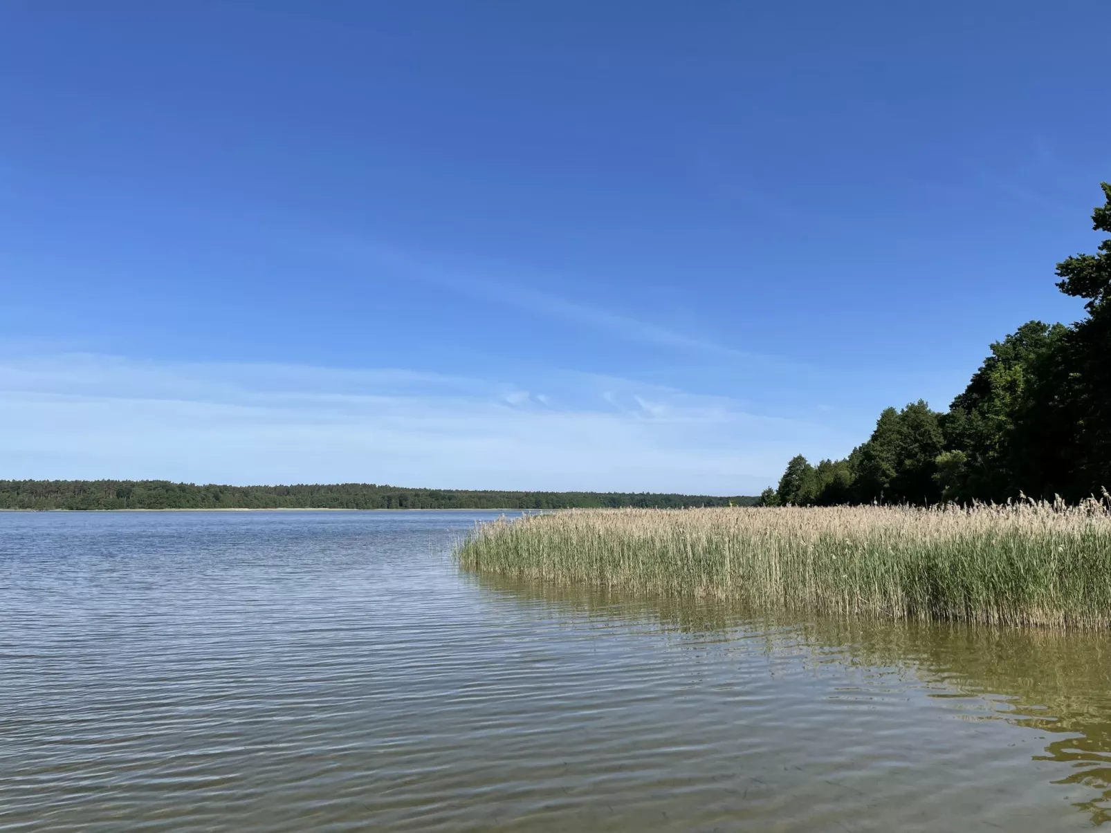 Wald und See-Buiten