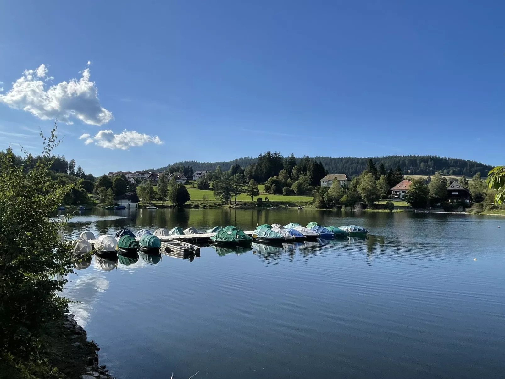 App. 1406 / EX-Kurhotel Schluchsee-Omgeving