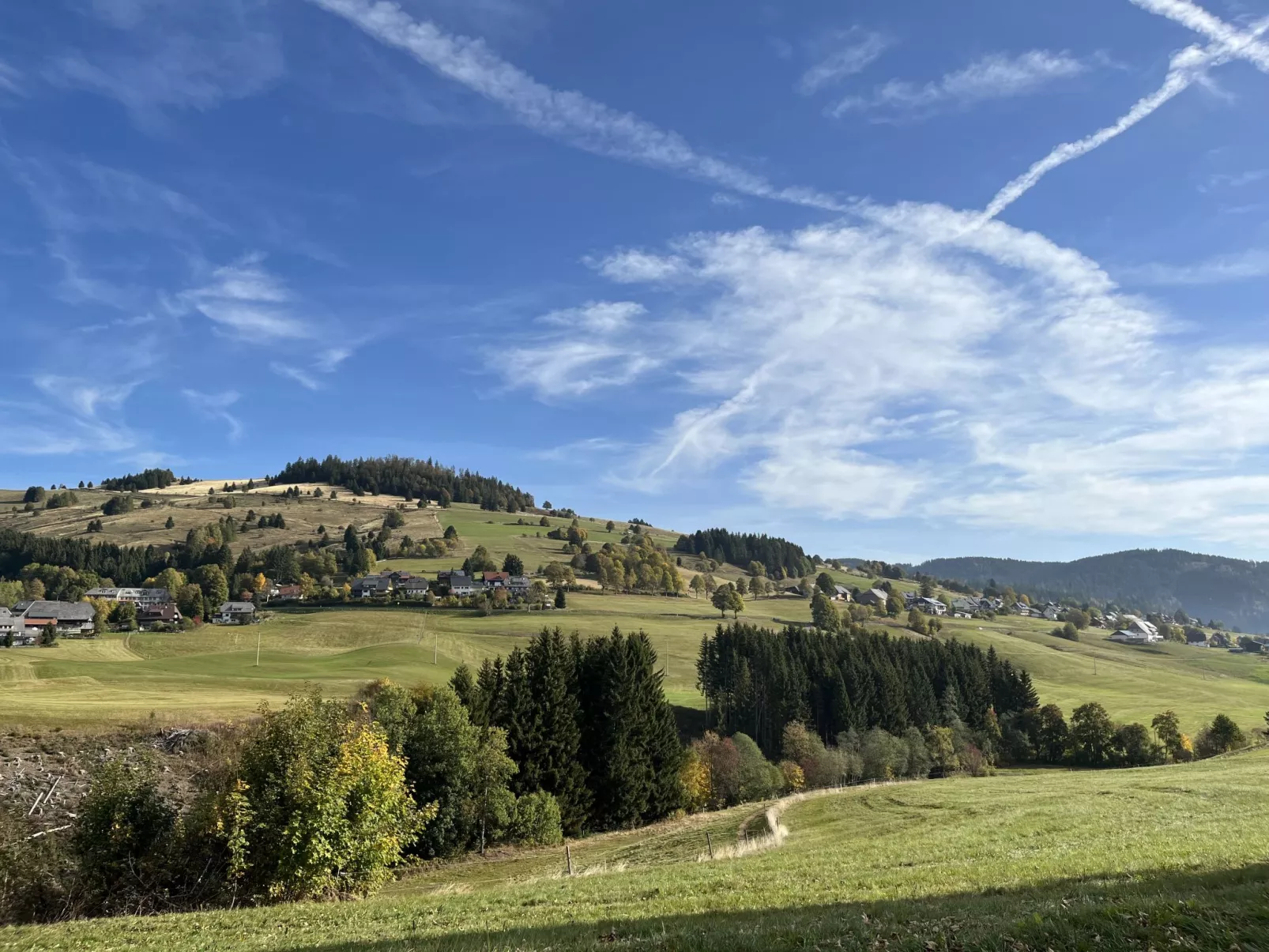 Schwarzwaldblick I-Omgeving