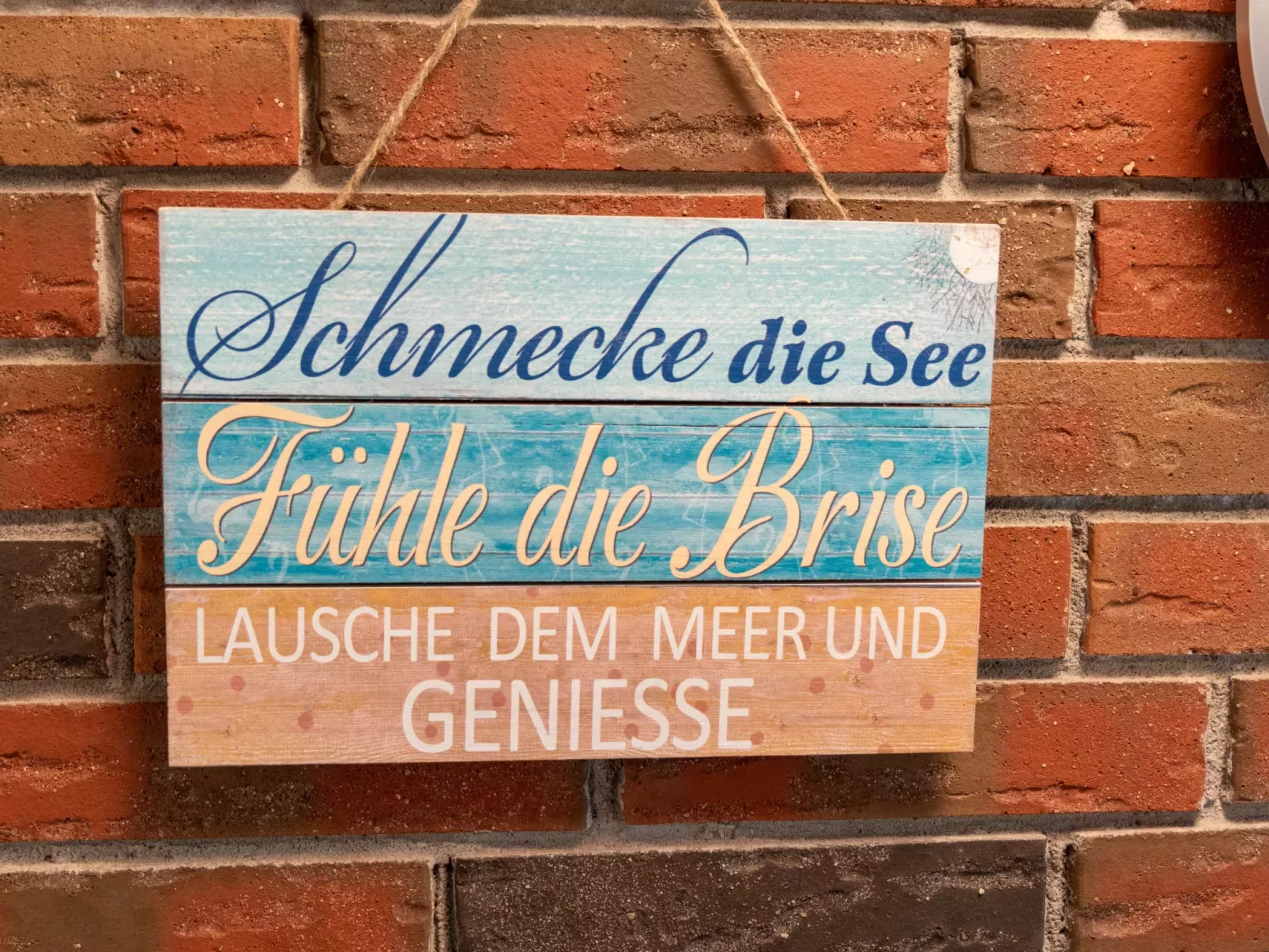 Venusmuschel-Binnen