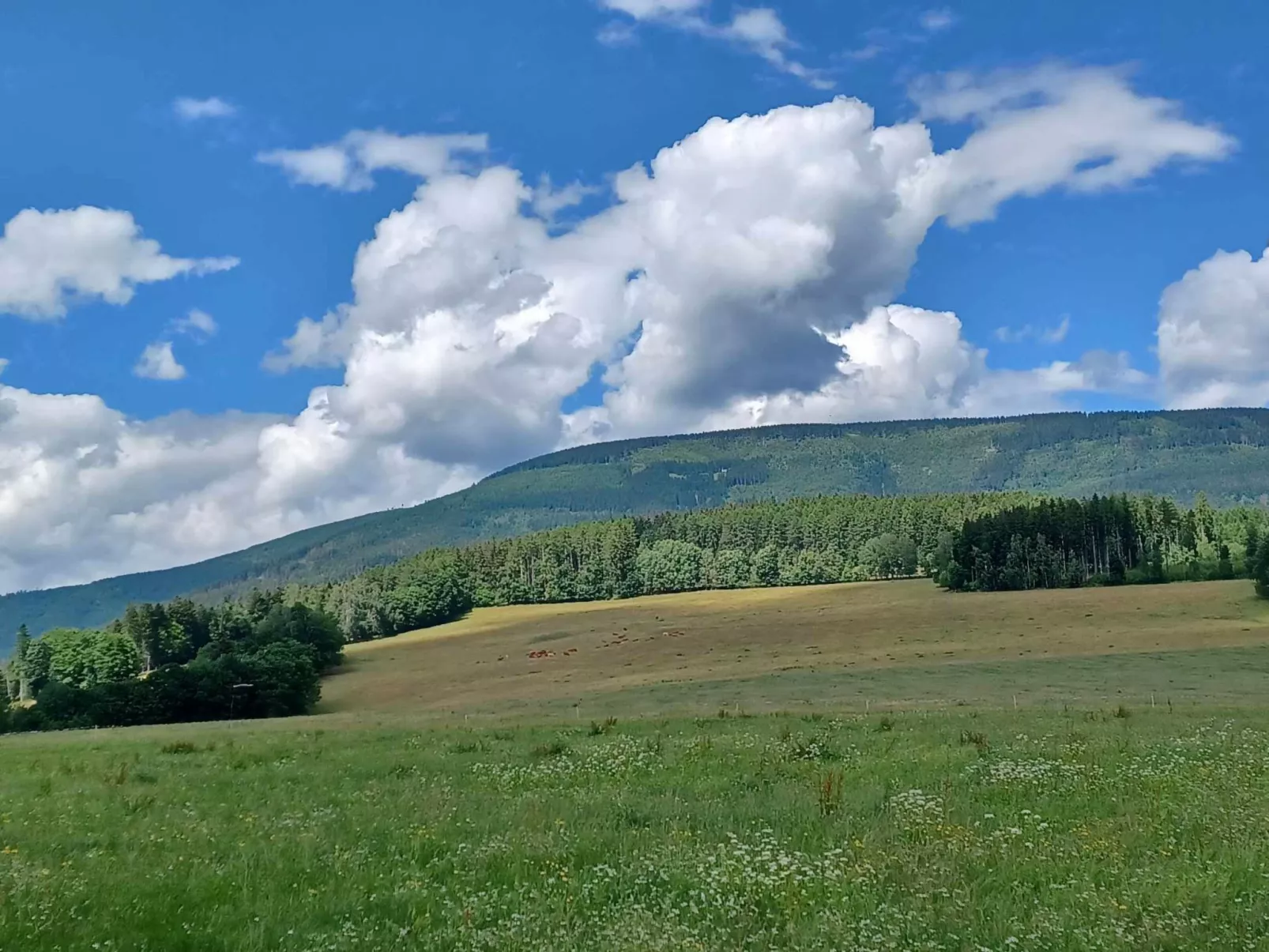 Happy Hill-Omgeving