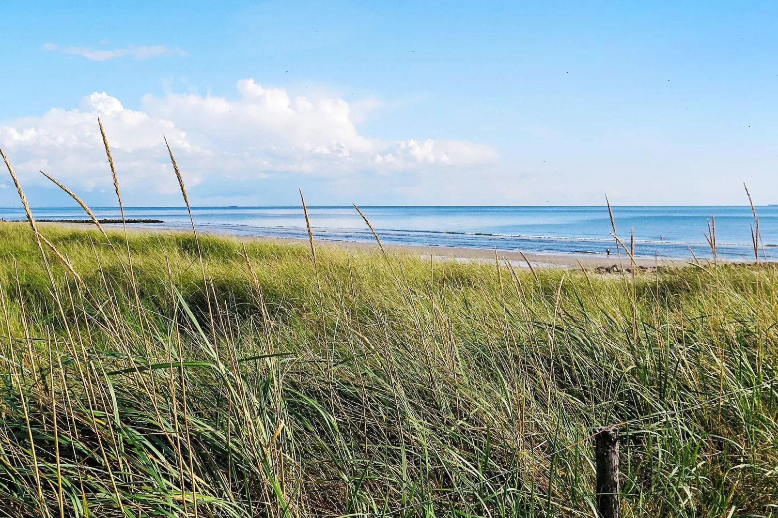 6 persoons vakantie huis in Blåvand-Niet-getagd
